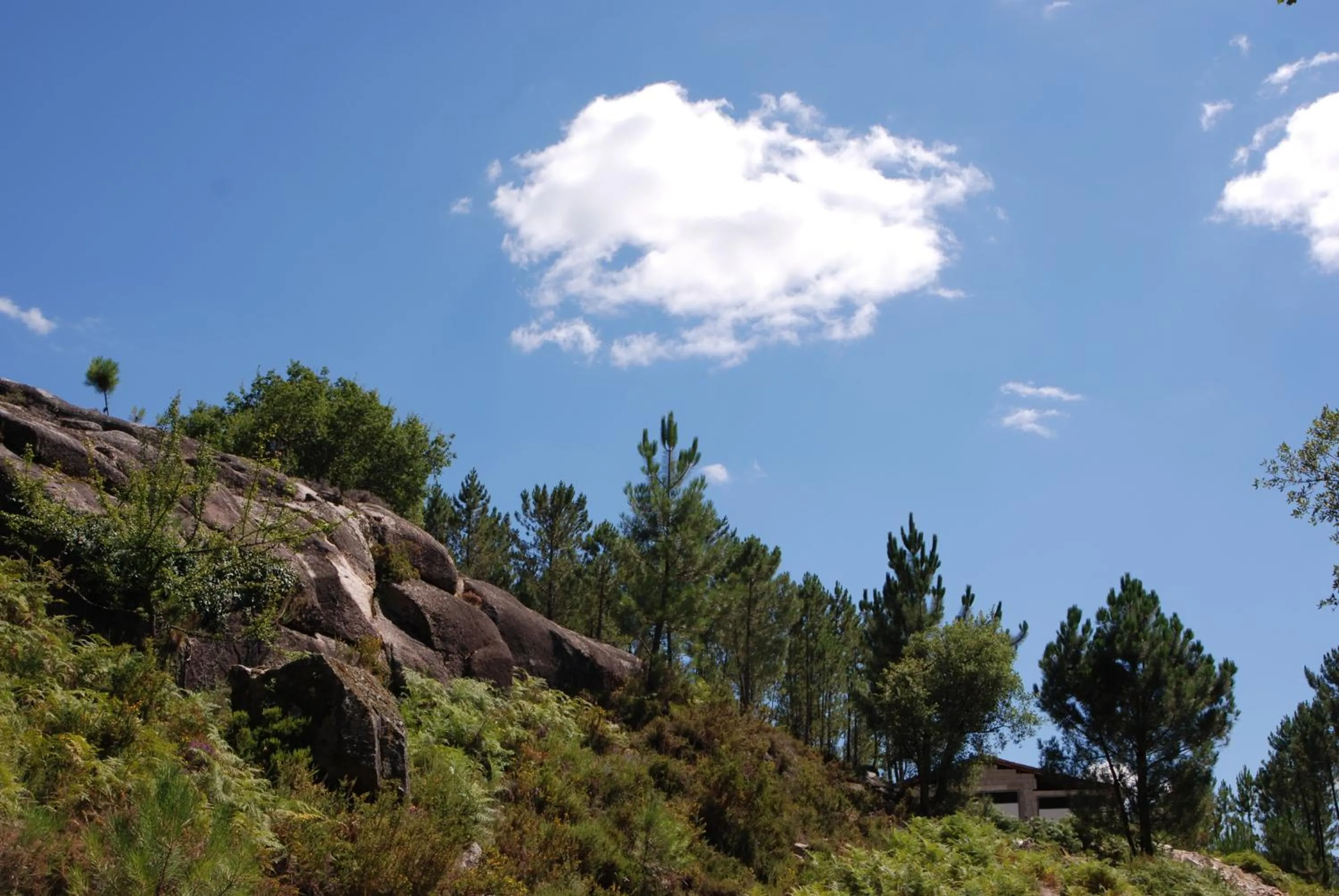 Nearby landmark in Hotel Carvalho Araujo