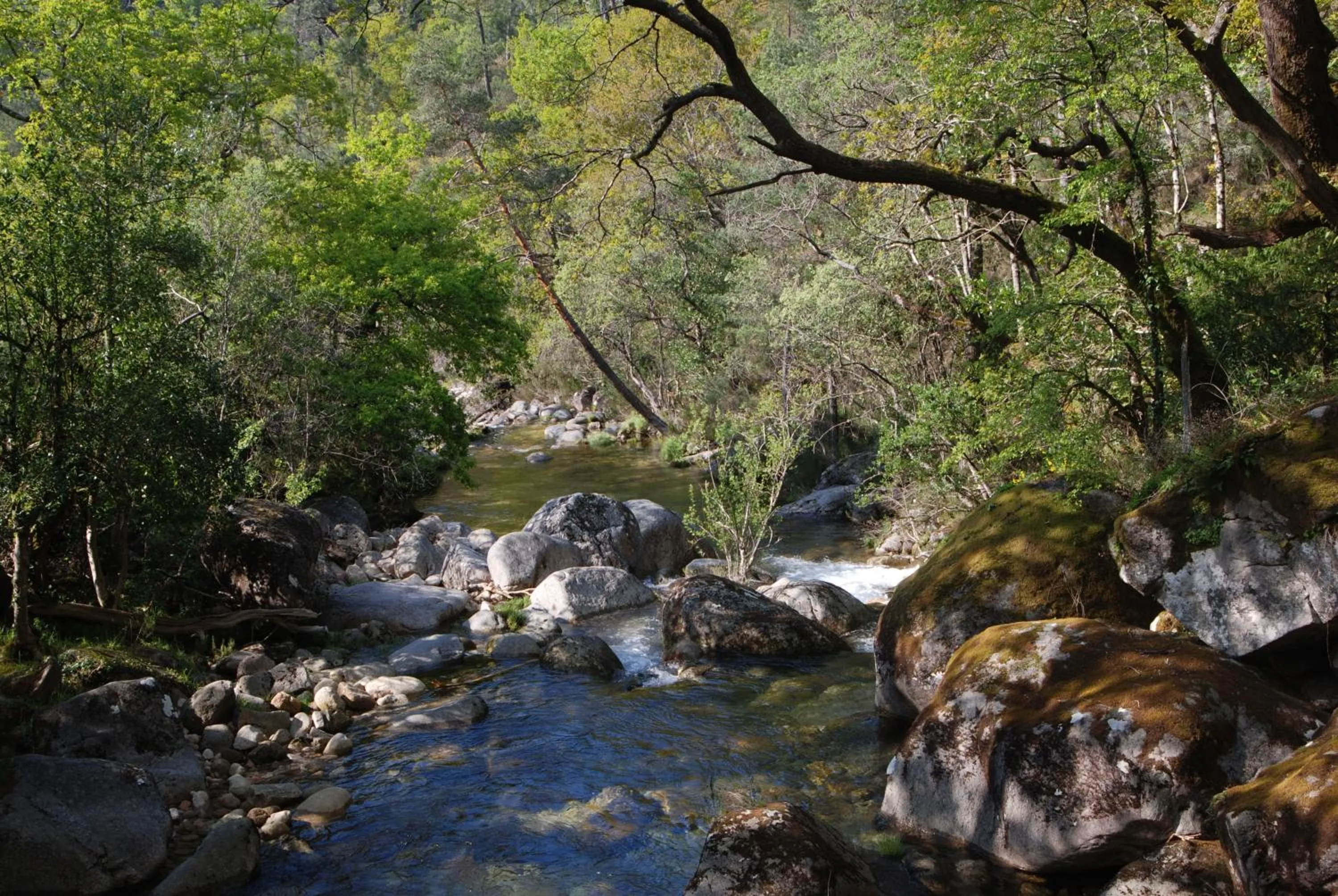 Area and facilities in Hotel Carvalho Araujo