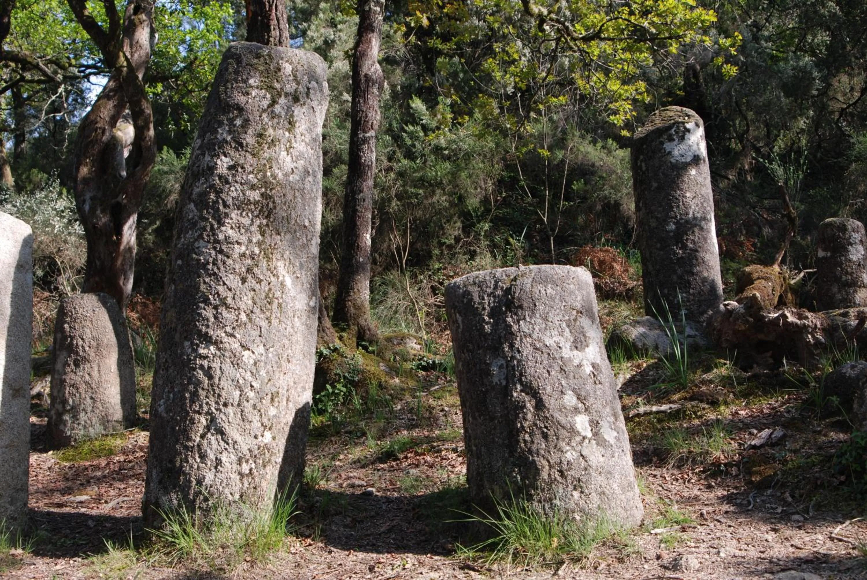 Area and facilities in Hotel Carvalho Araujo