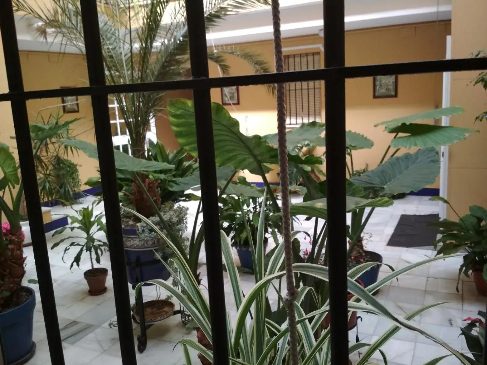 Two Bedrooms Leonor Davalos 2 Two Bedrooms Leonor Davalos 2