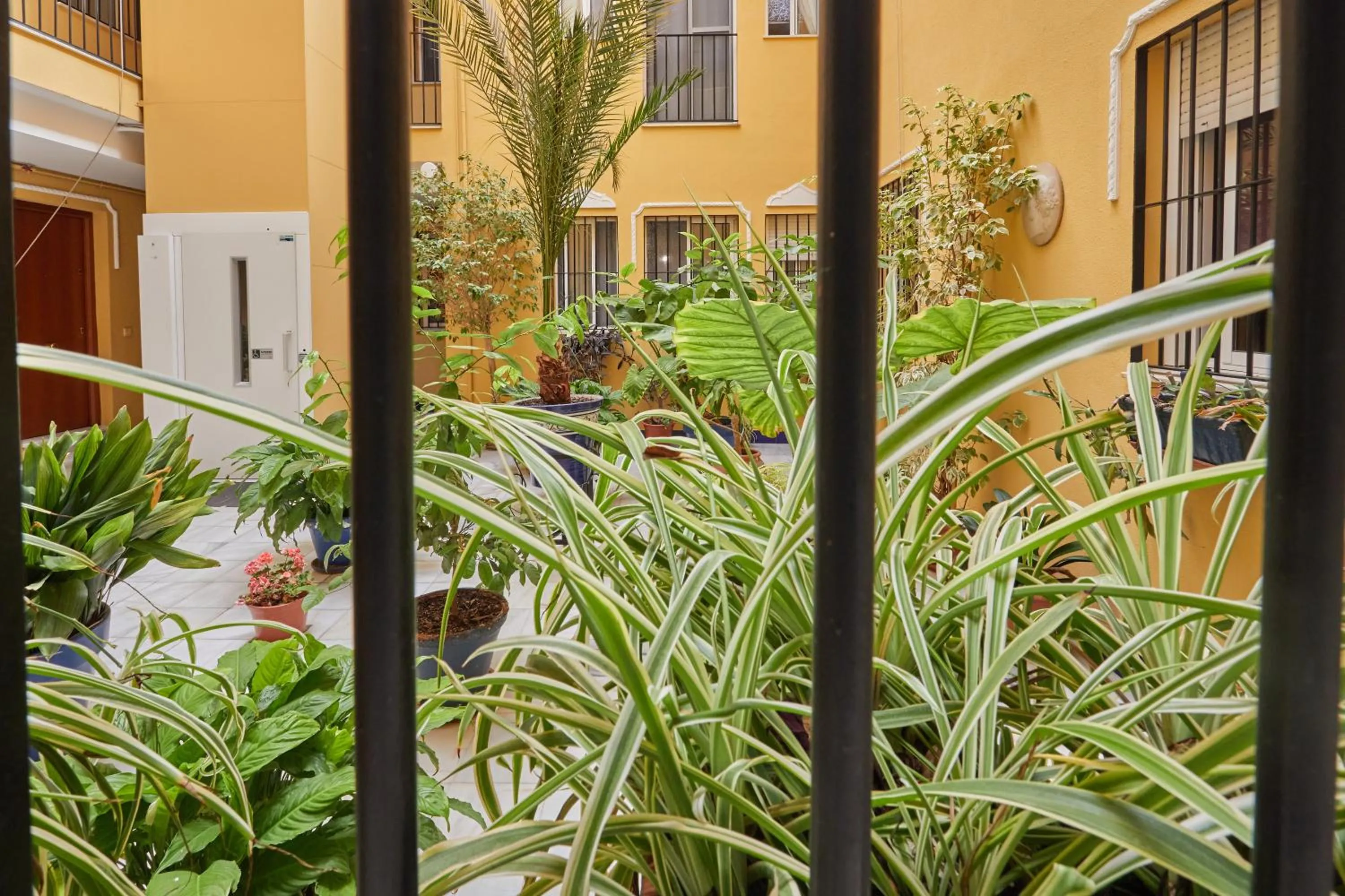 Two Bedrooms Leonor Davalos 2