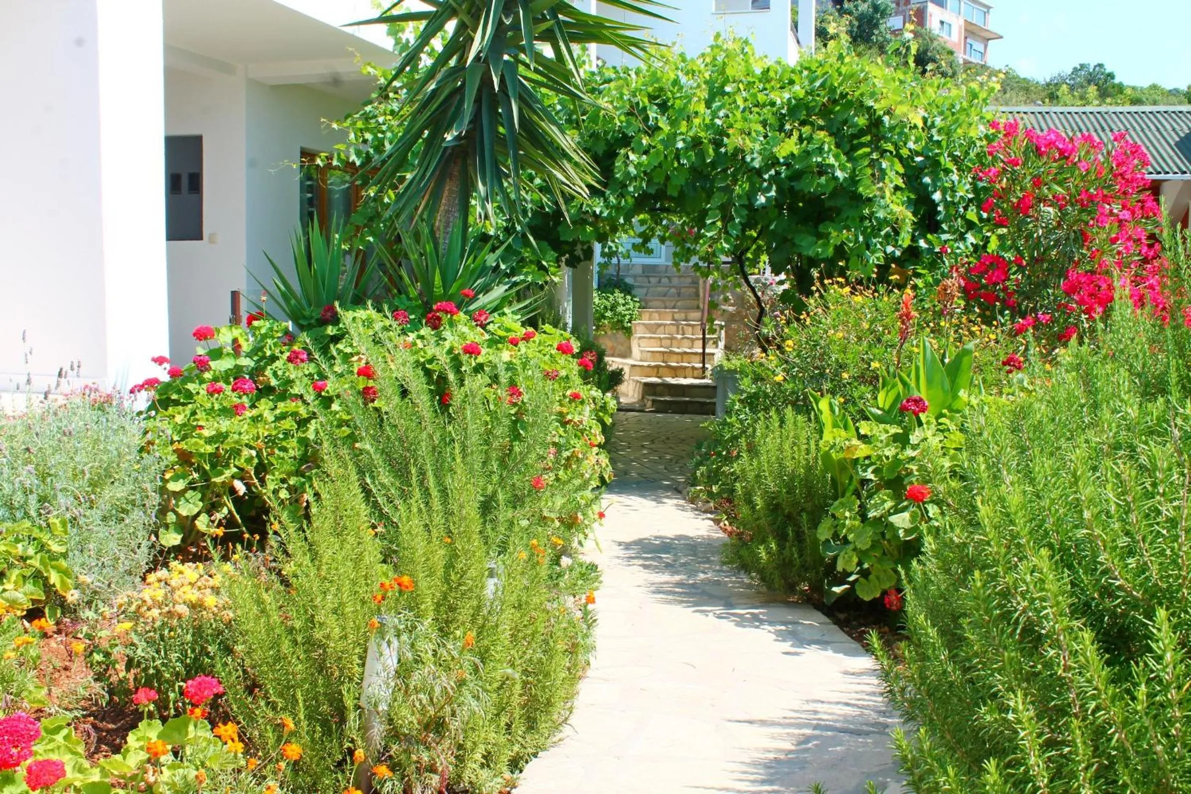 Garden in Apartments Villa Milna 1