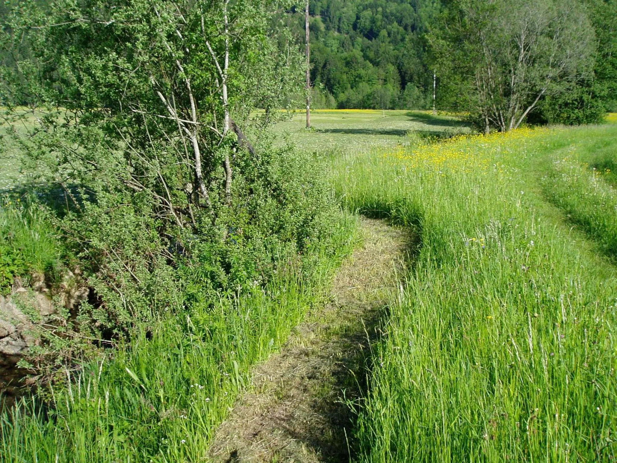 Area and facilities in Gasthof Taube