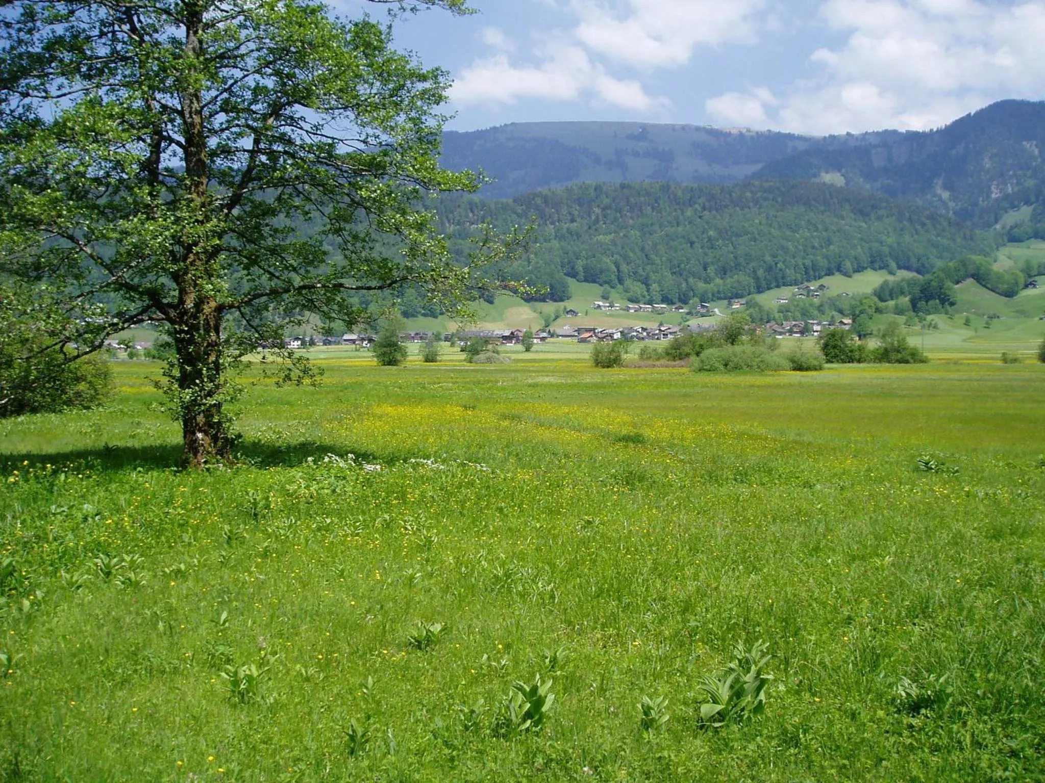 Area and facilities in Gasthof Taube