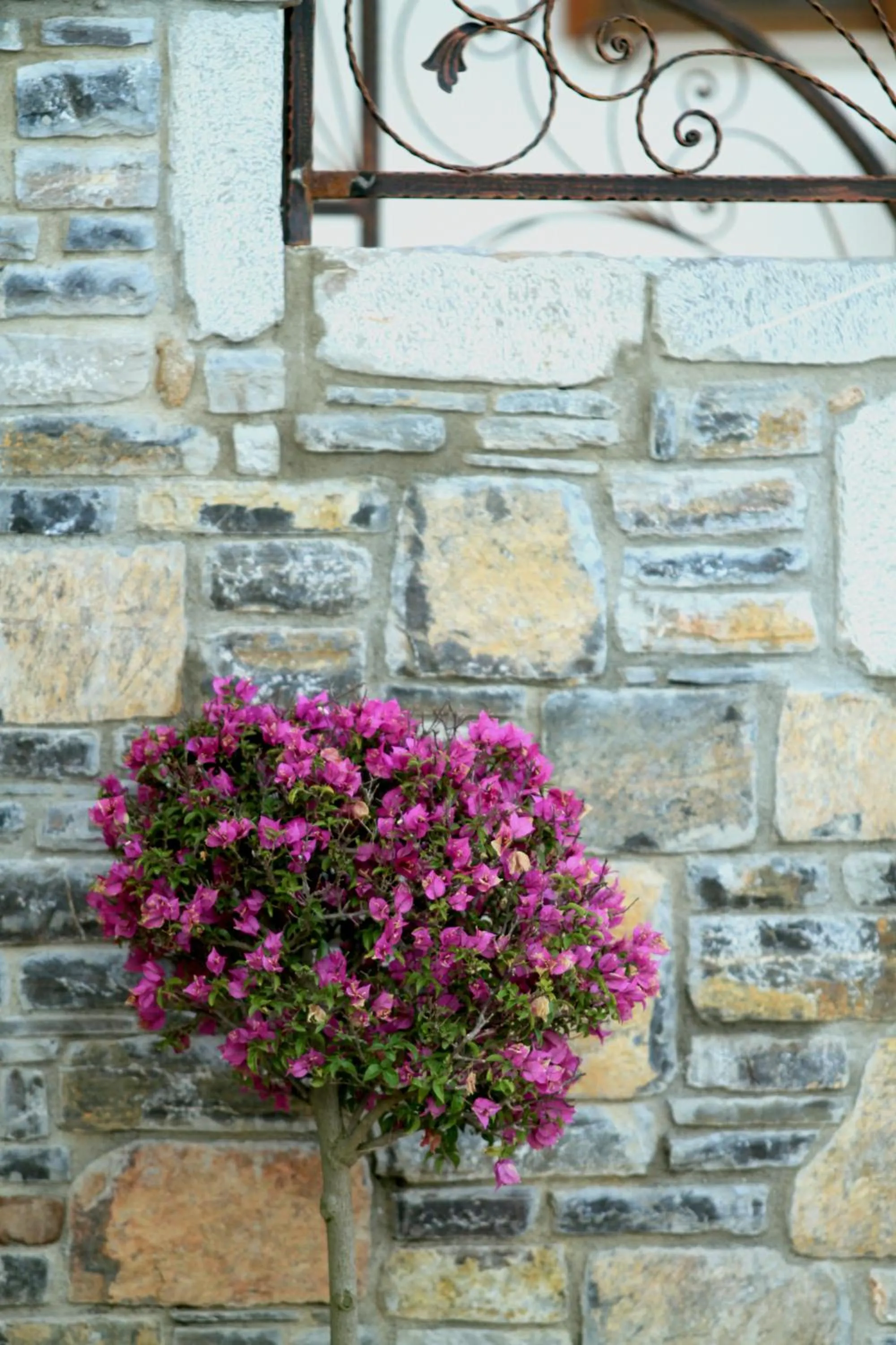 Other in Mervehan Residence