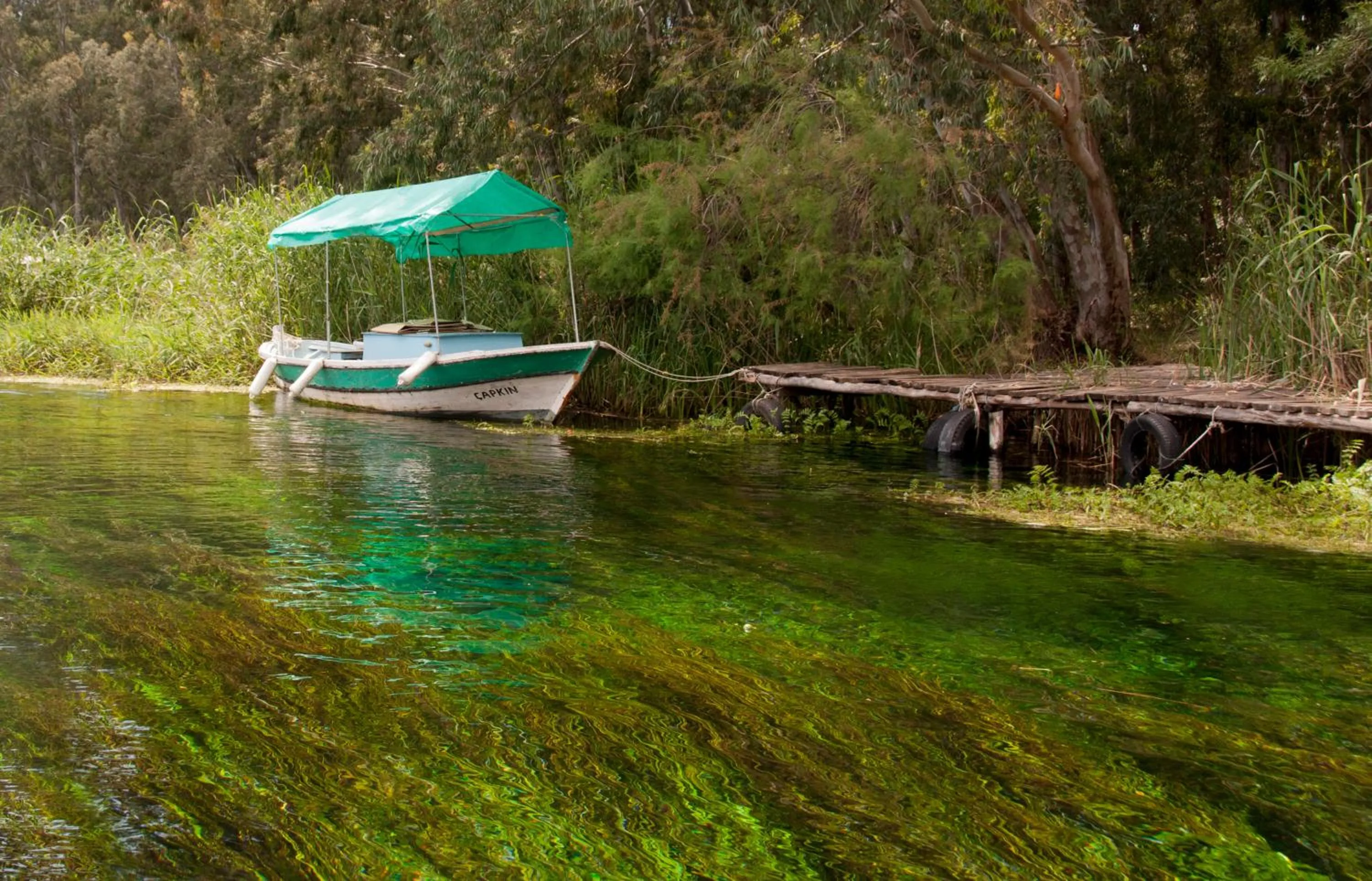 Activities in Mervehan Residence