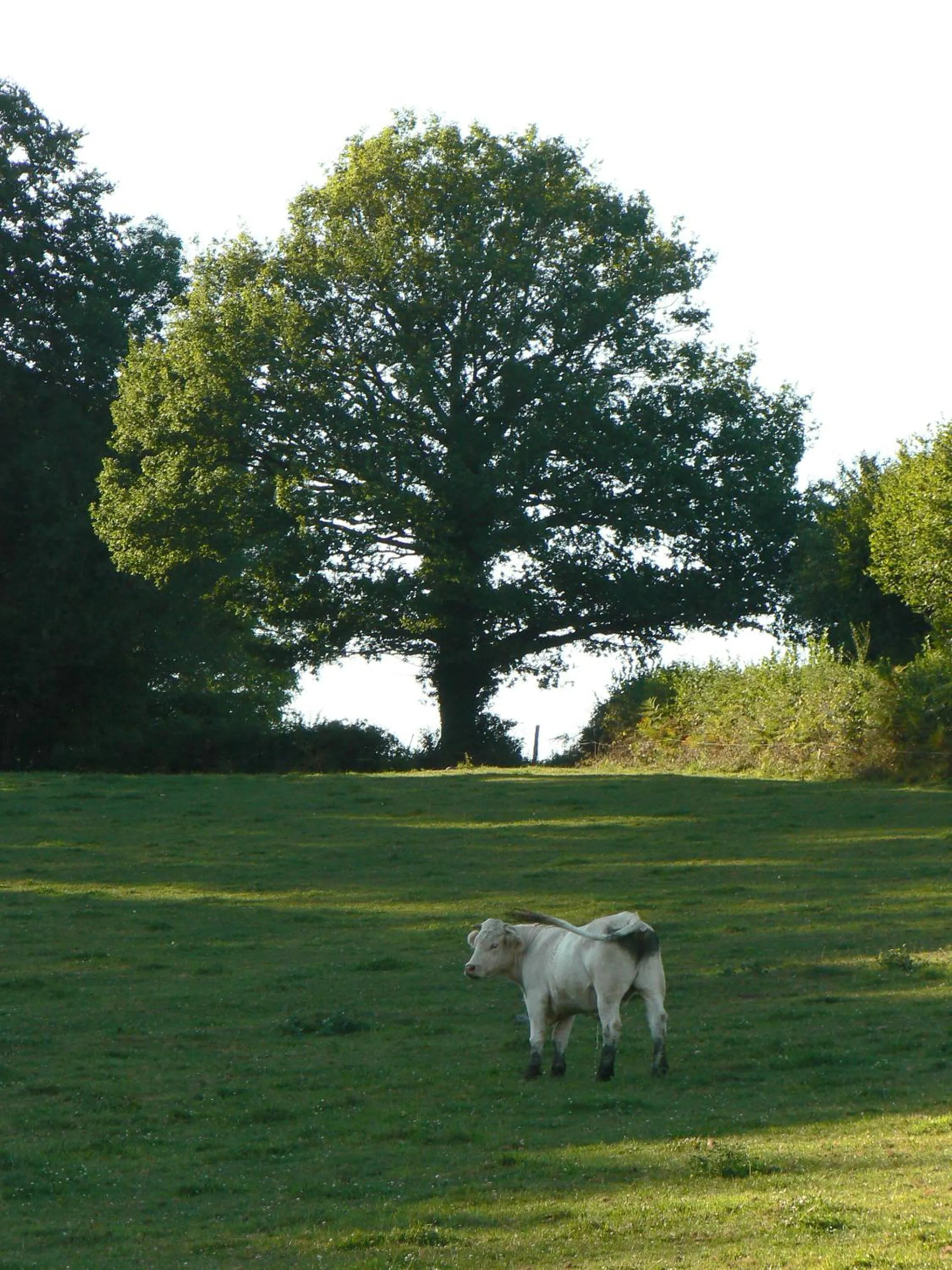 Area and facilities in Le Cuisinier en Combraille