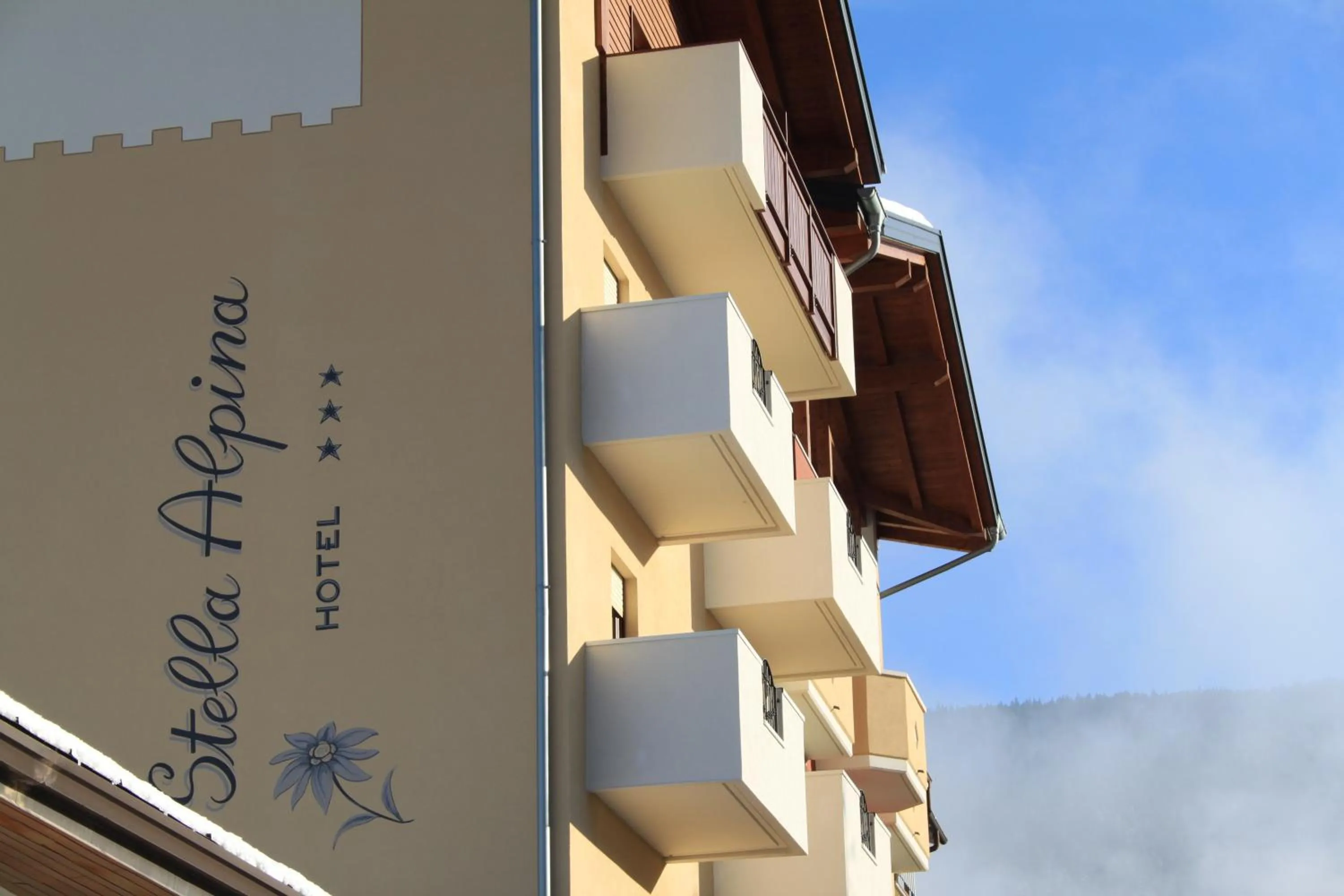 Facade/entrance in Hotel Stella Alpina