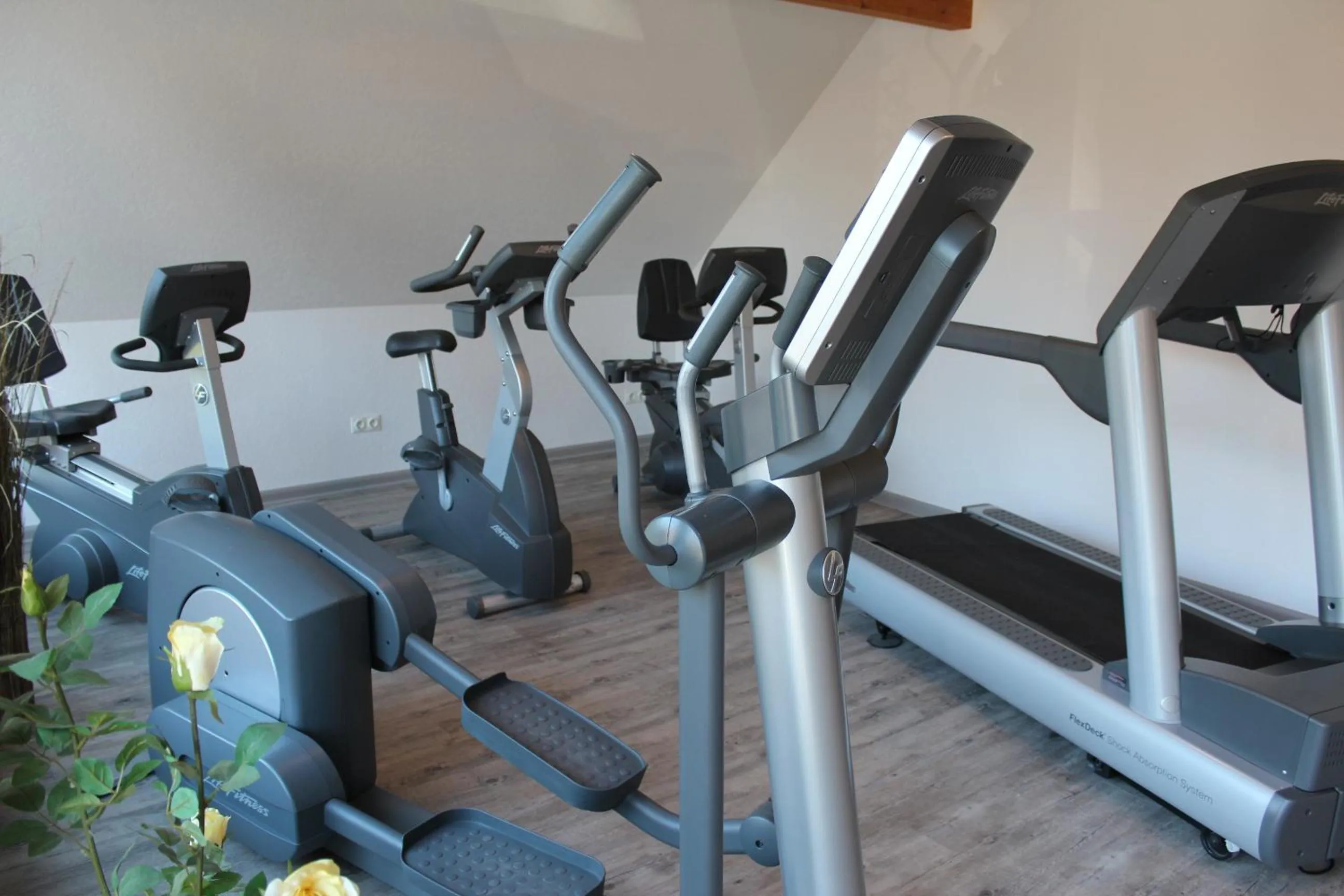 Fitness centre/facilities in Hotel Ripken