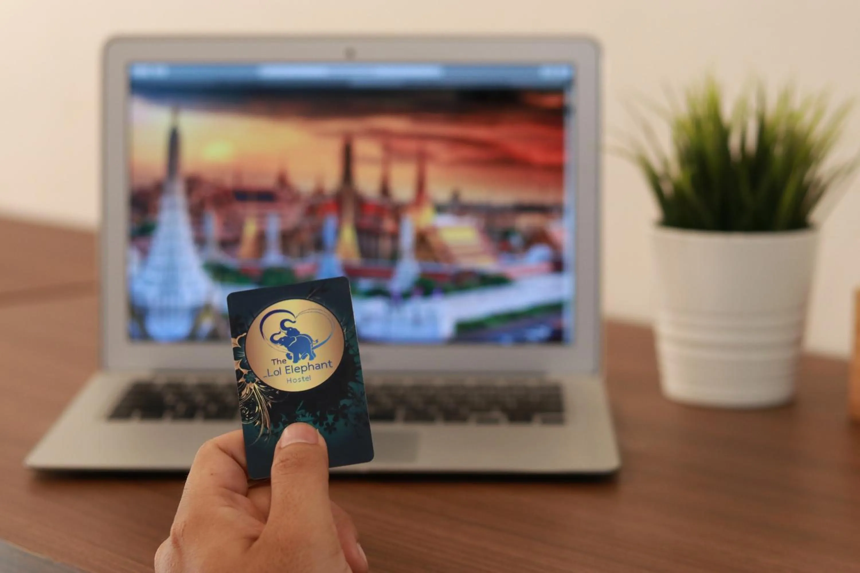 The LOL Elephant Hostel