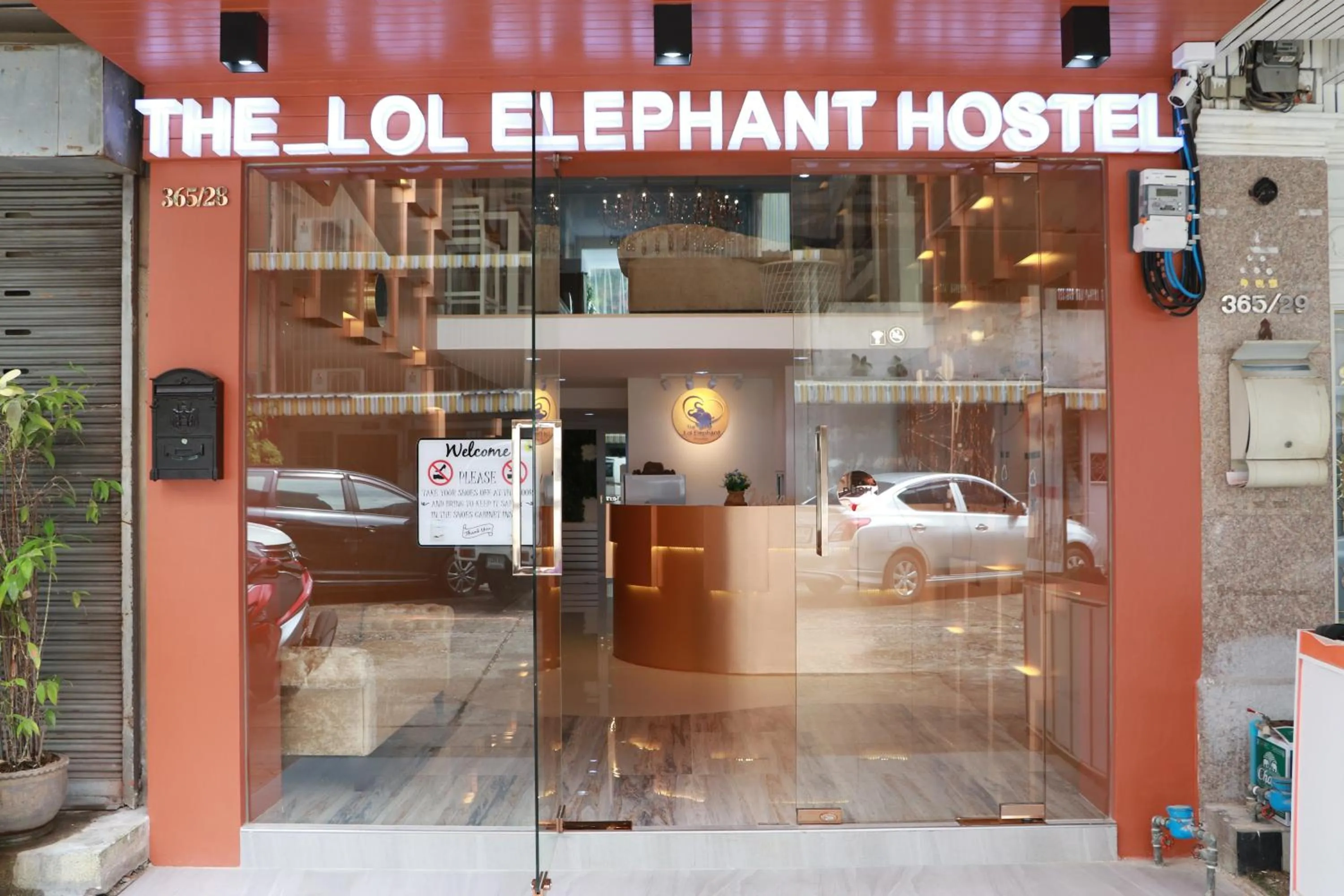 The LOL Elephant Hostel