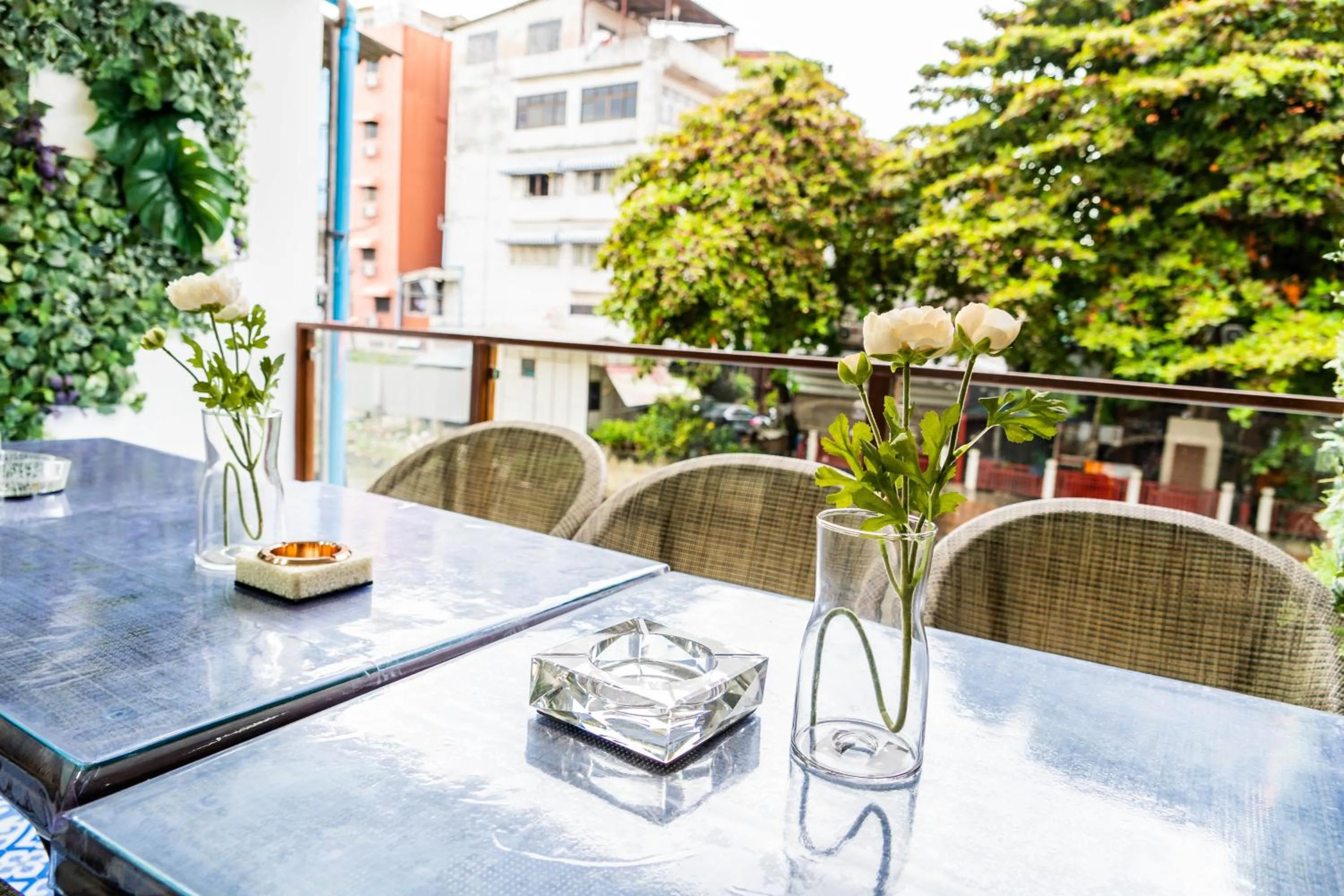 The LOL Elephant Hostel