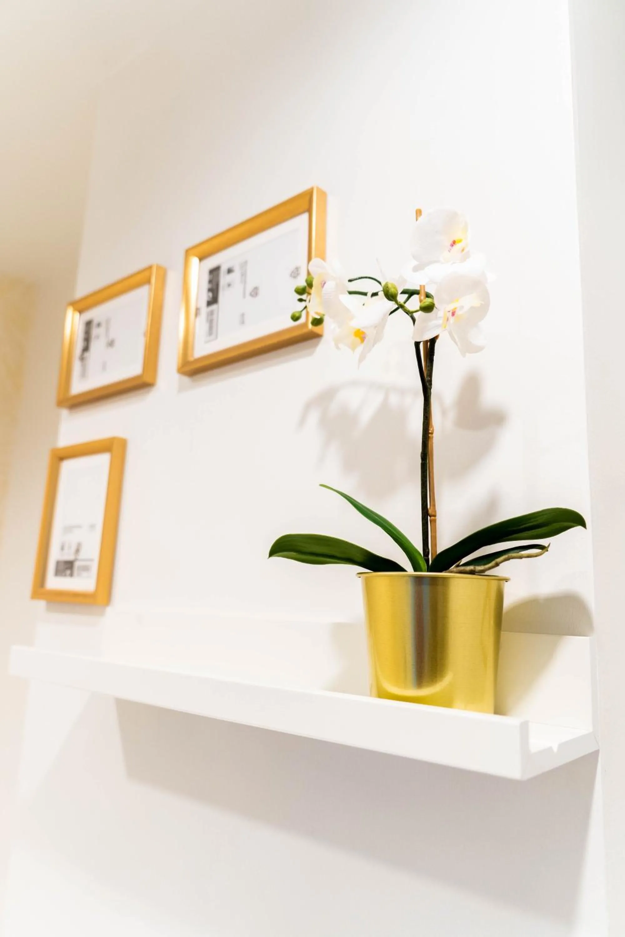 The LOL Elephant Hostel