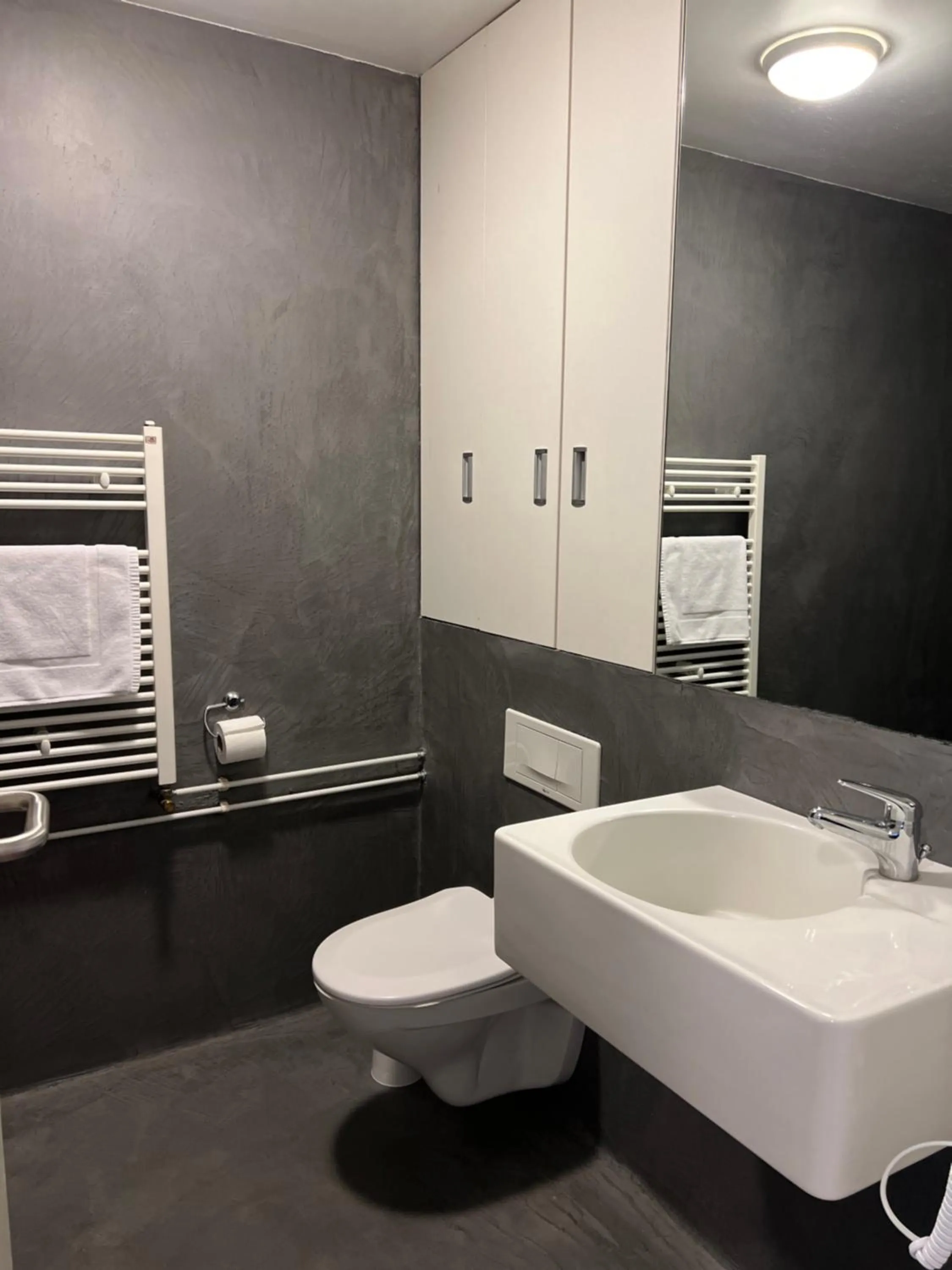 Shower in Hótel Bifröst