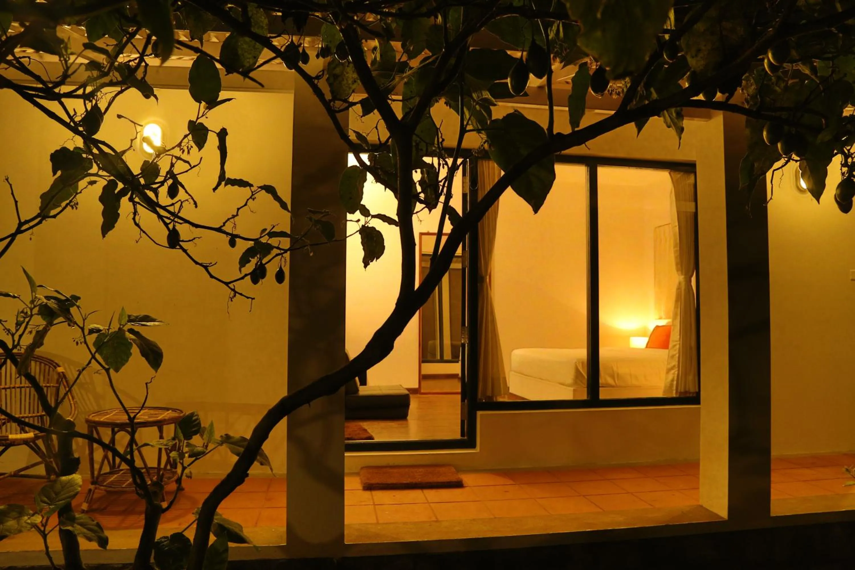 The Tamarillo