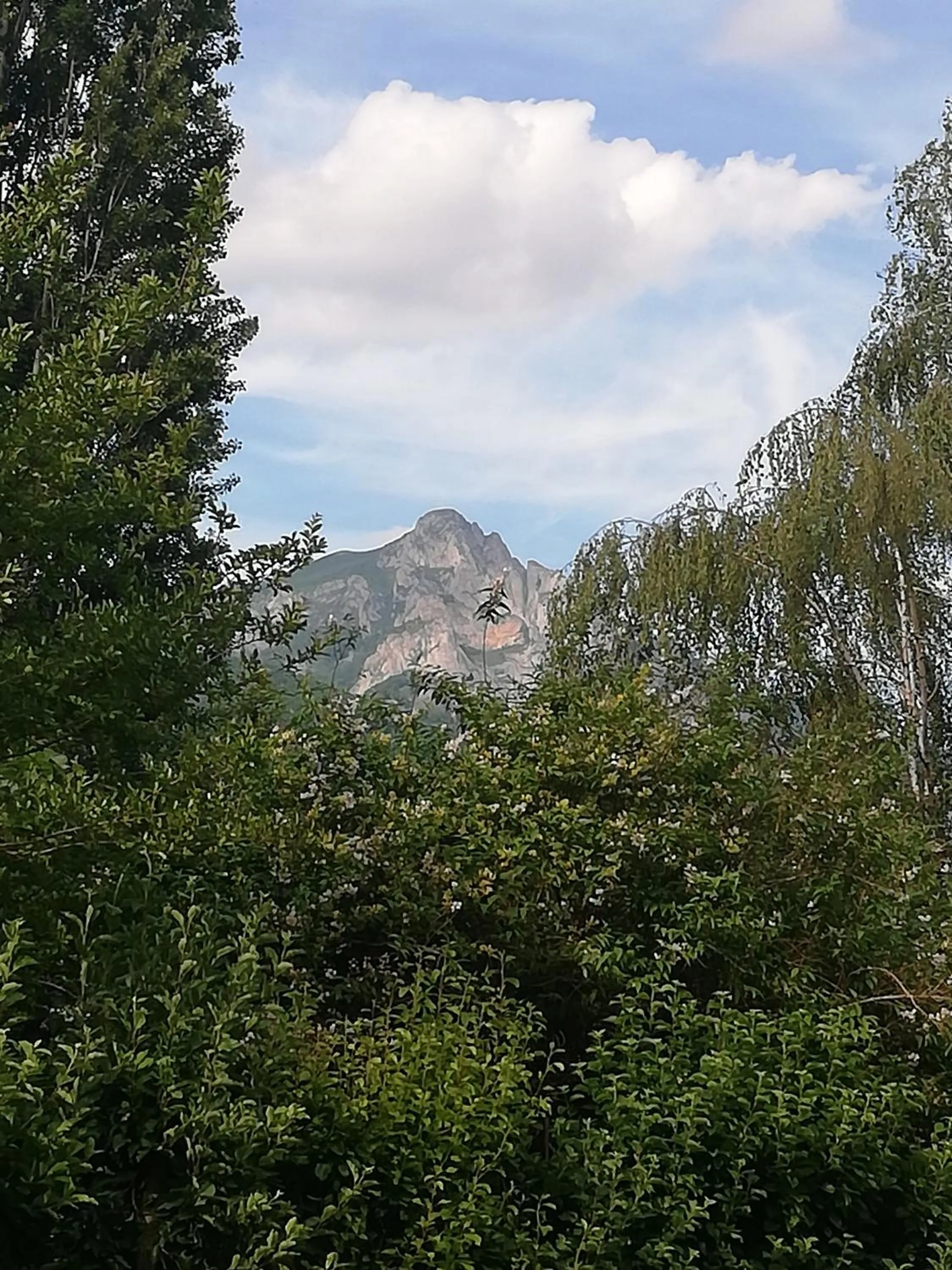 Garden in Le domaine des 3 marmottes Chambres d' hôtes