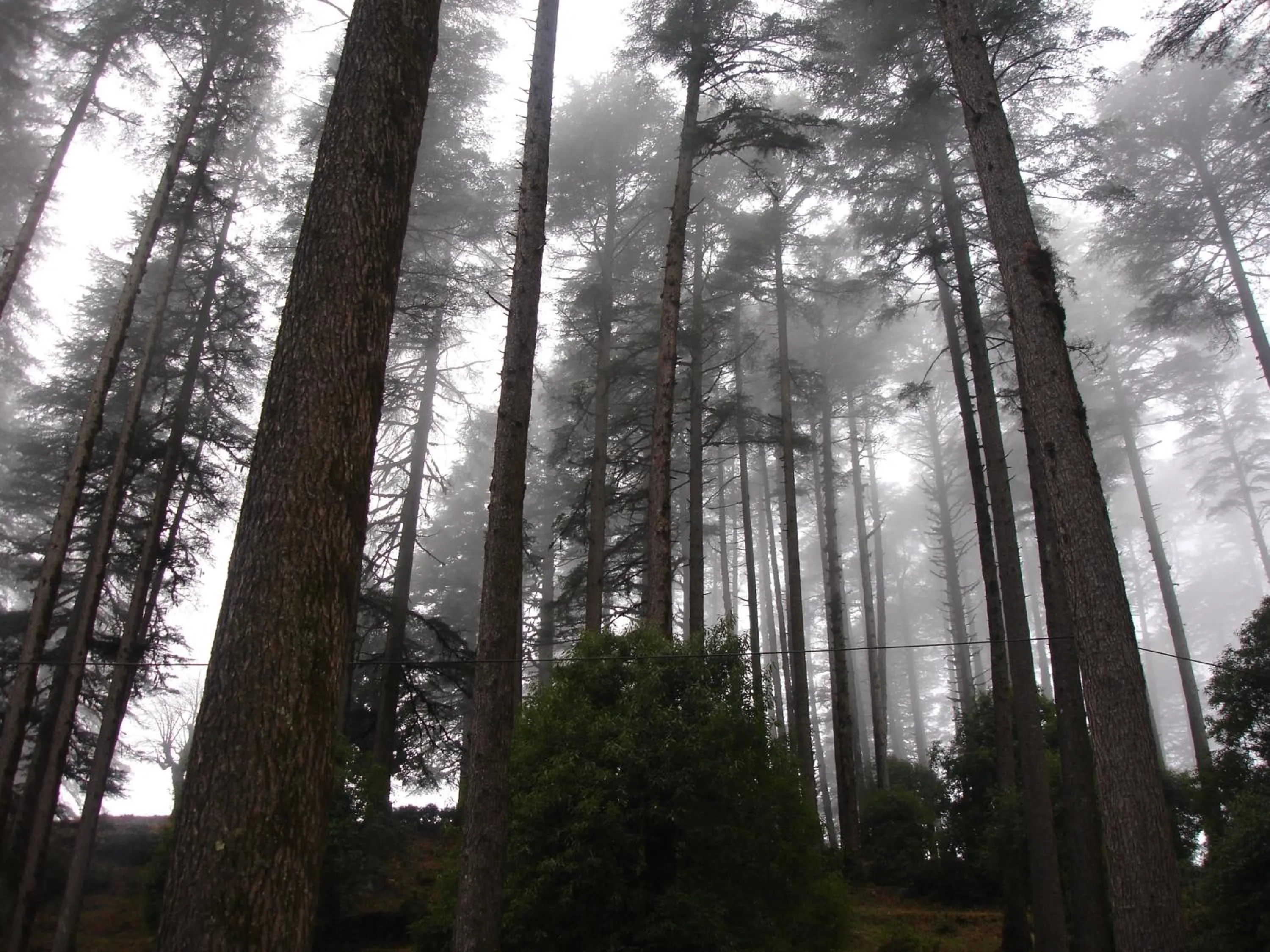 Bird's eye view in Honeymoon Inn Mussoorie