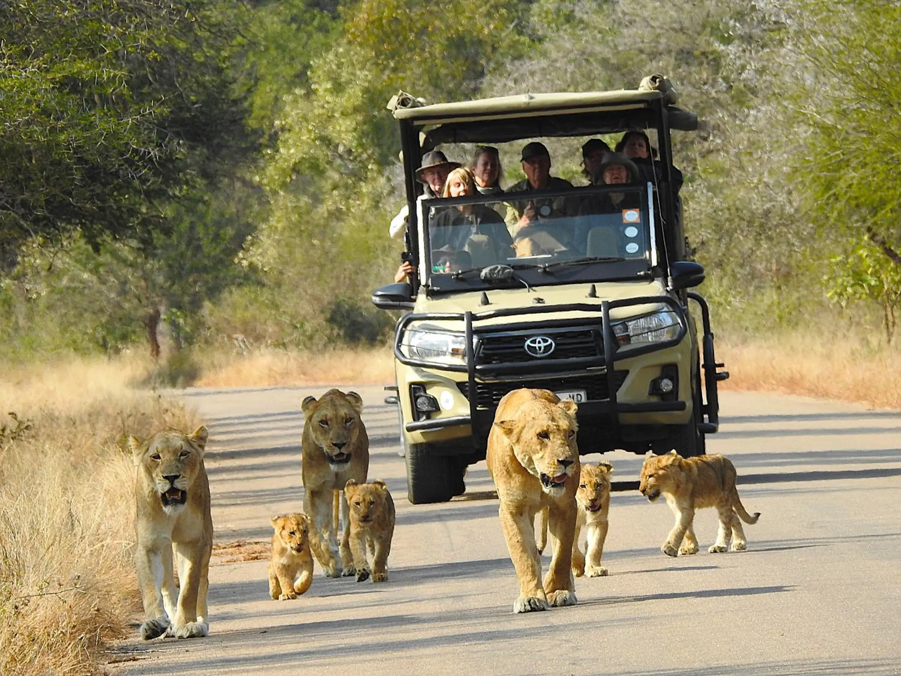 Ubuntu Bed and Breakfast Ubuntu Bed and Breakfast