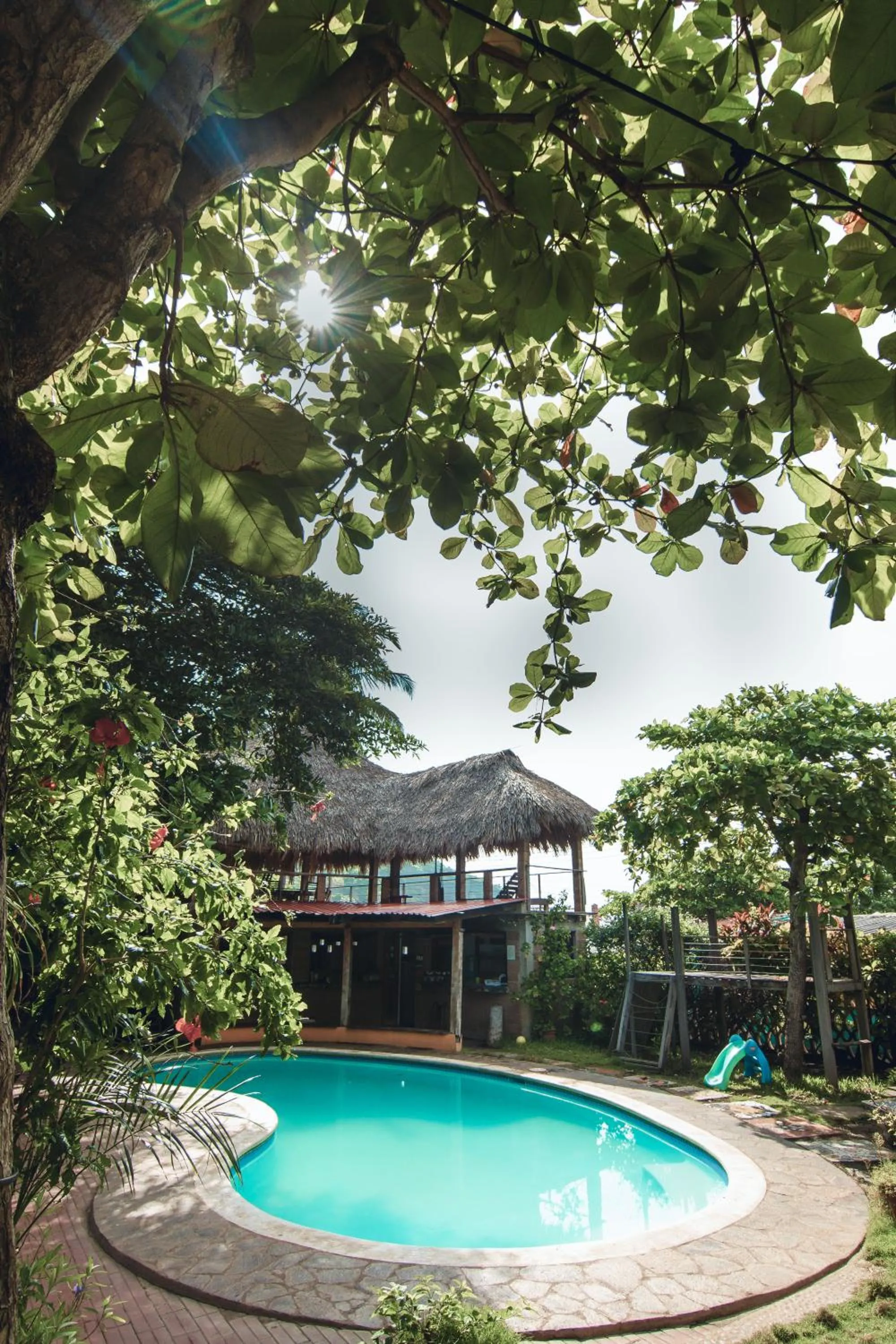 Garden view in Esencia Nativa