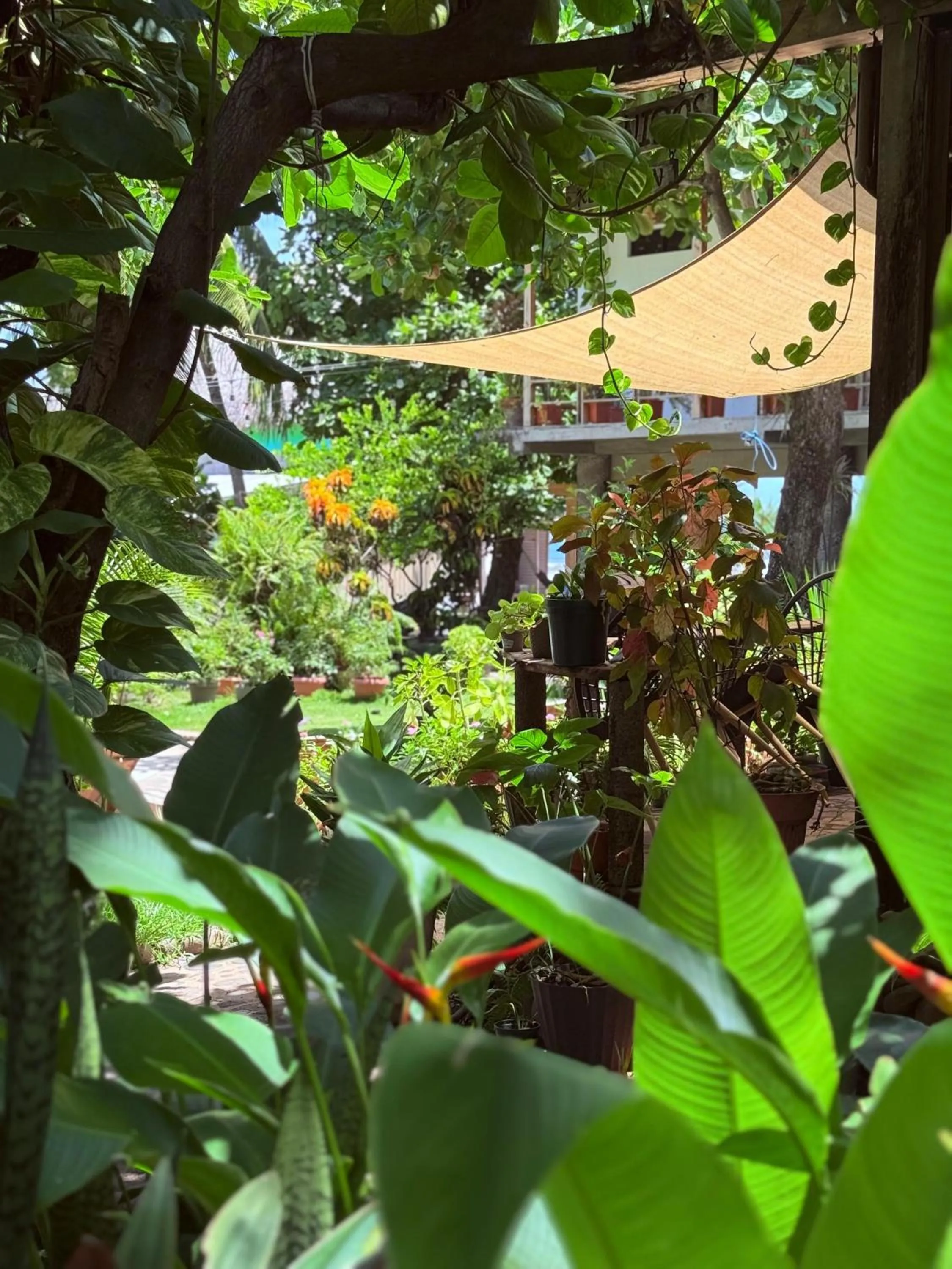 Garden in Esencia Nativa