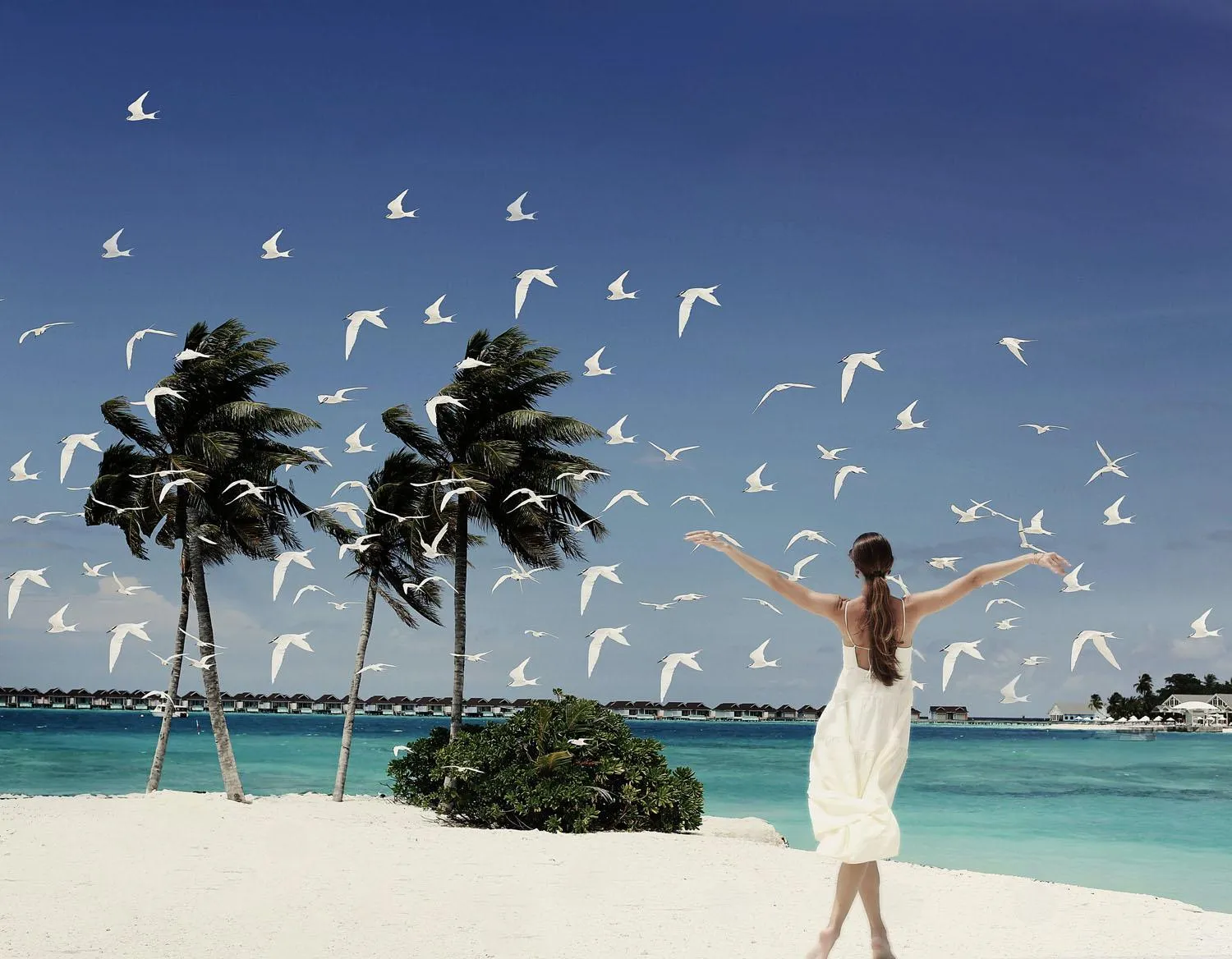 Beach in The Standard, Huruvalhi Maldives