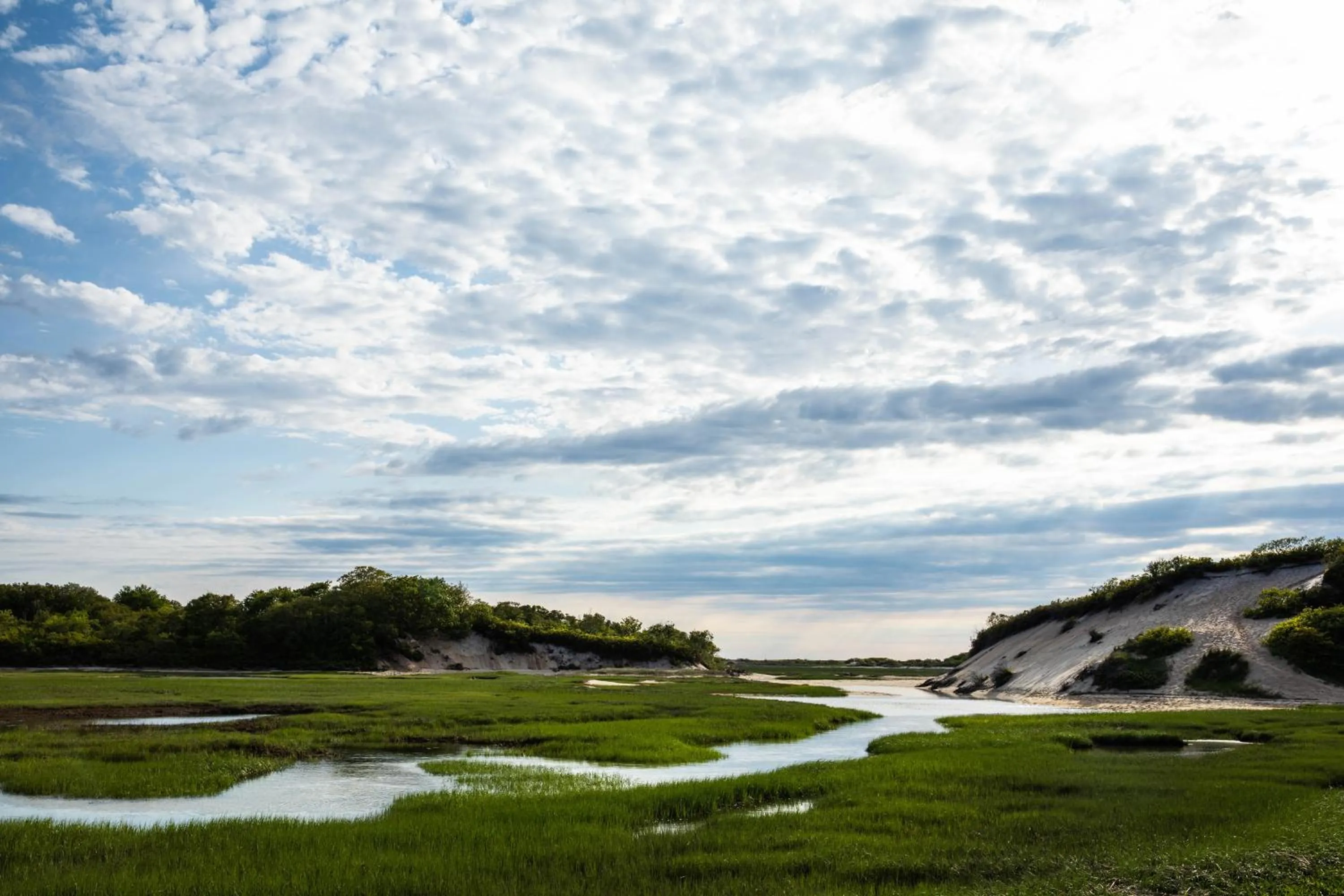Natural landscape in AWOL Hotel Provincetown