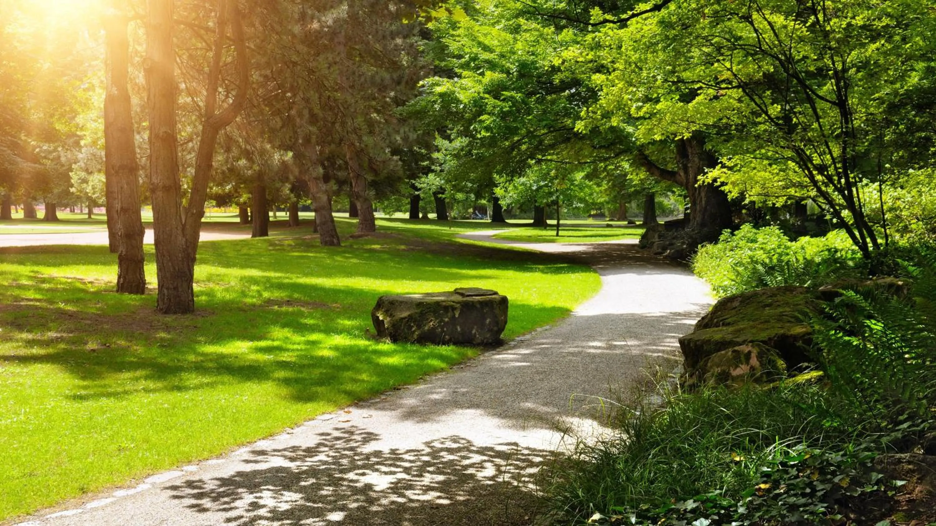 Nearby landmark in Holiday Inn London Luton Airport by IHG