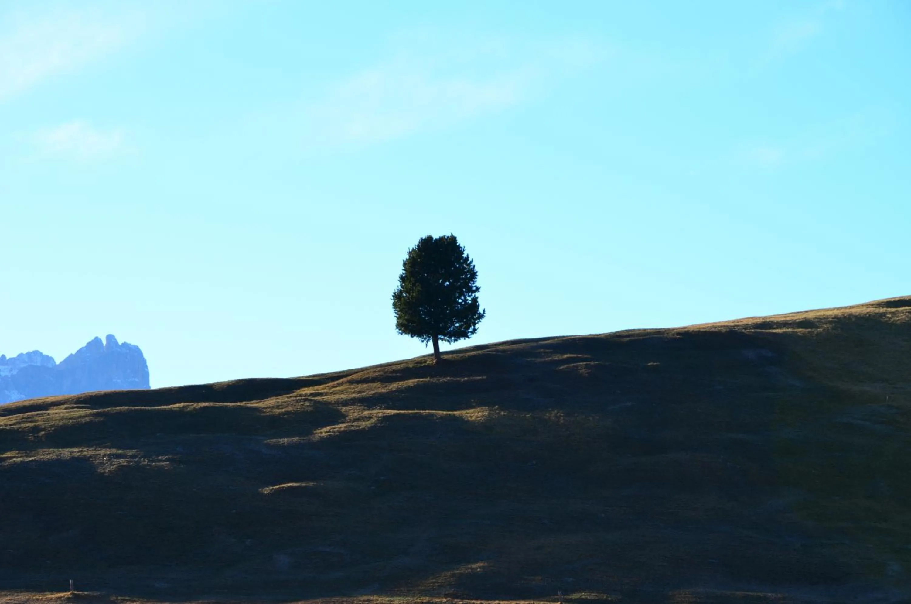 Natural landscape in Plan Murin - Authentic Dolomites Hotel