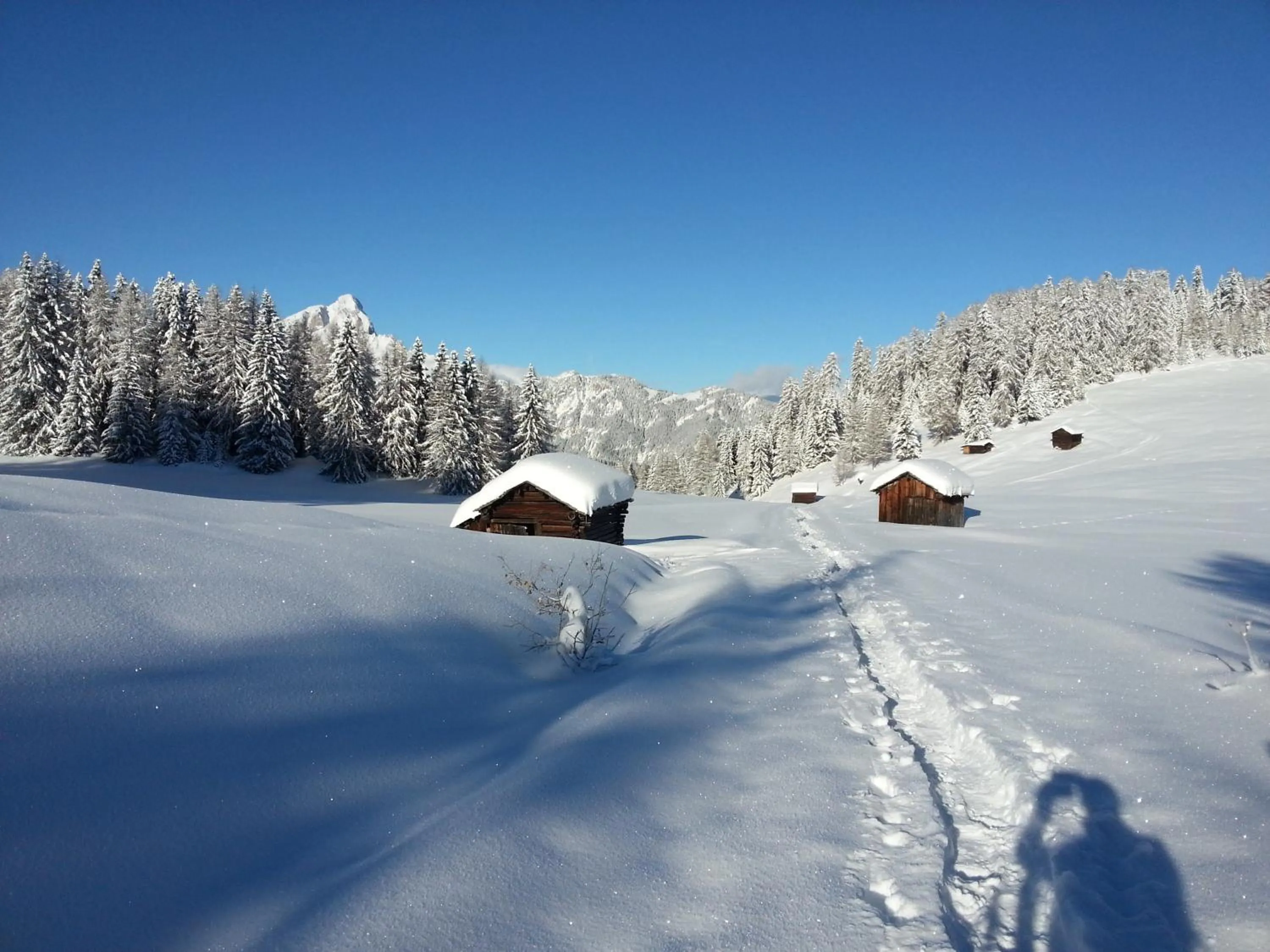 Natural landscape in Plan Murin - Authentic Dolomites Hotel