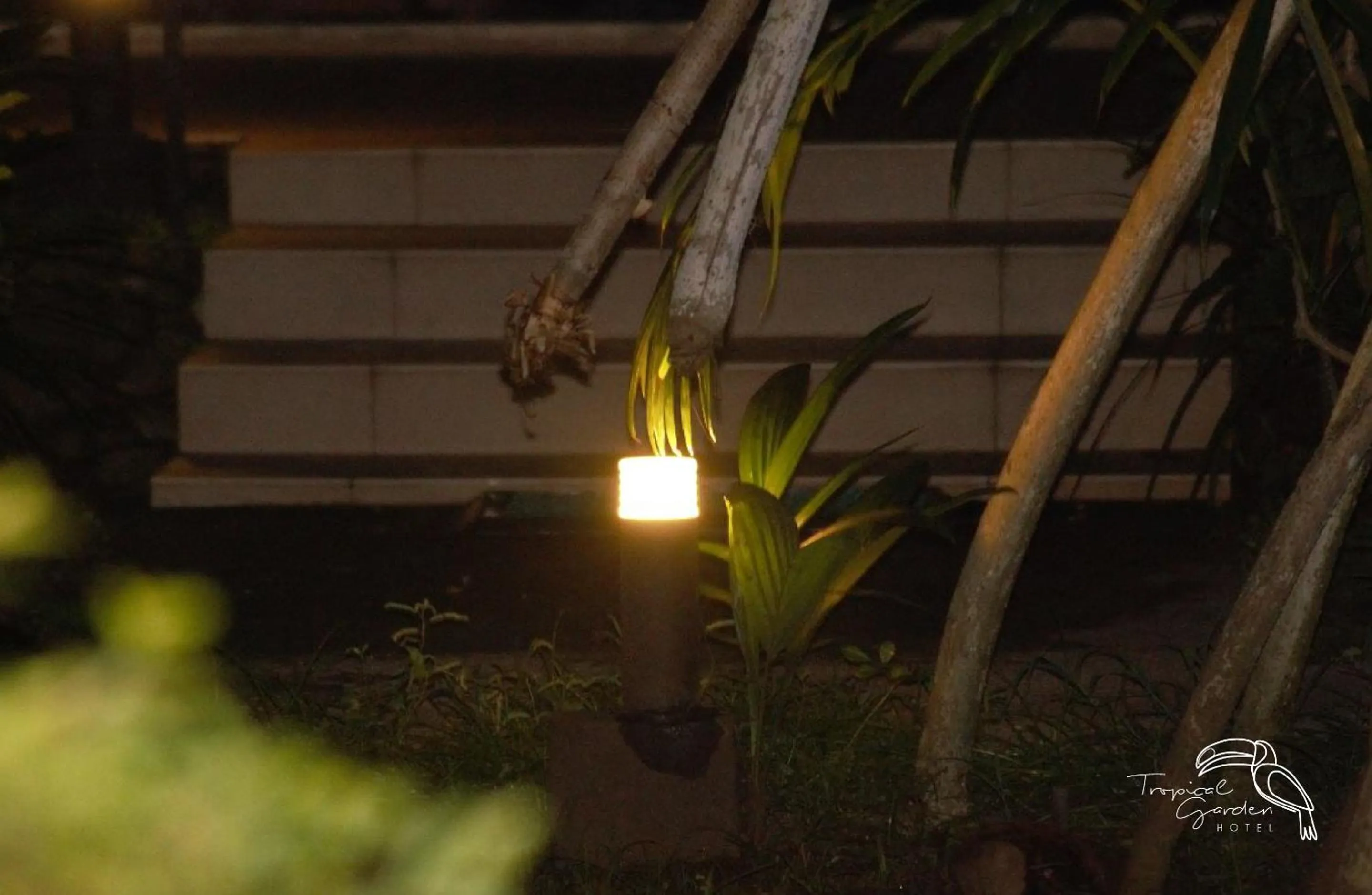 Night in Tropical Garden Hotel