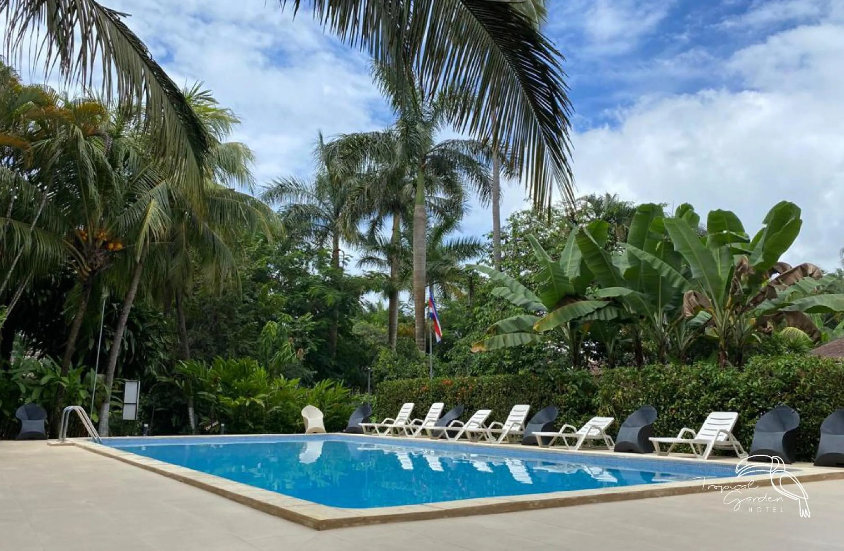 Swimming pool in Tropical Garden Hotel