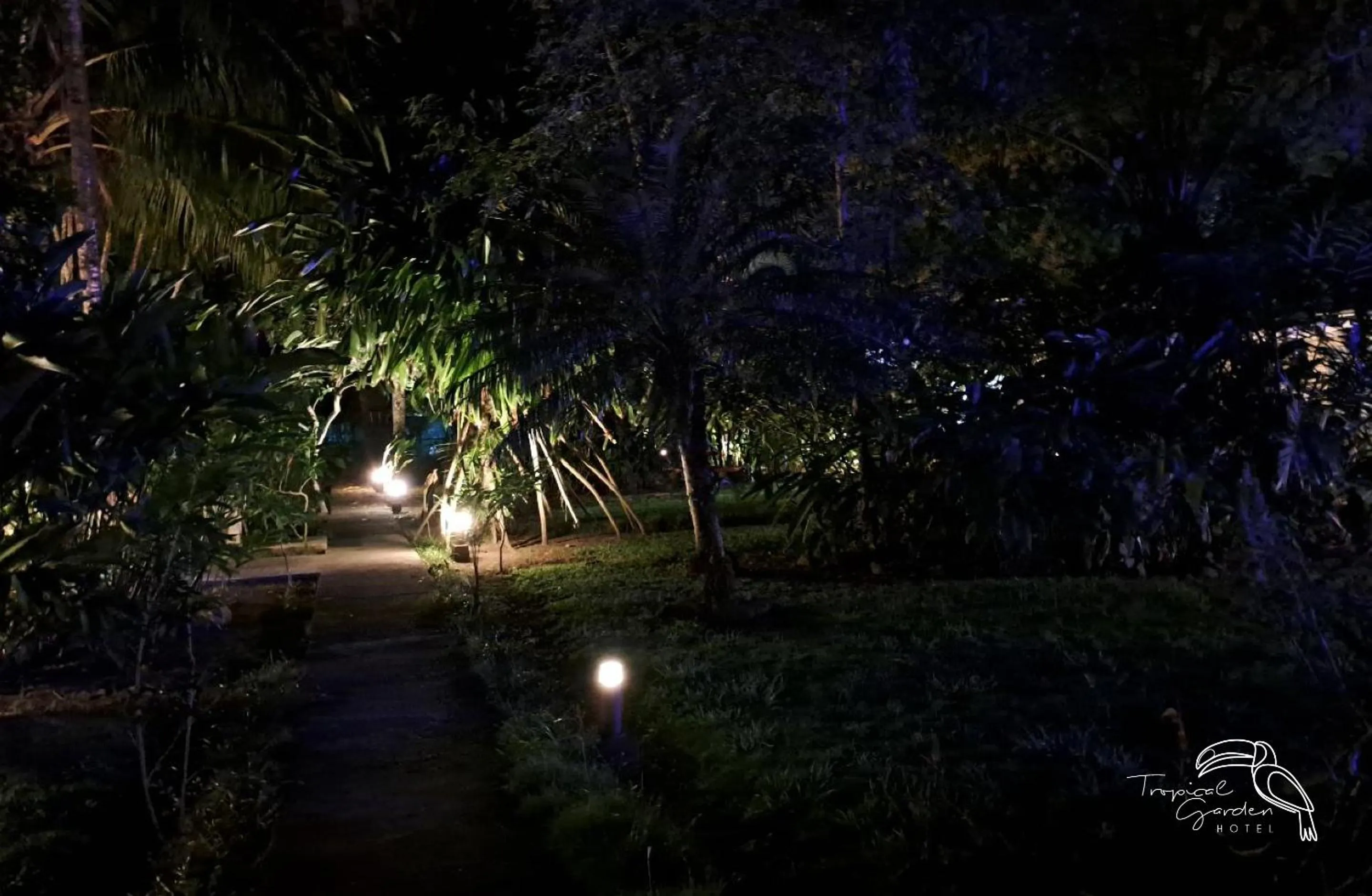 Night in Tropical Garden Hotel