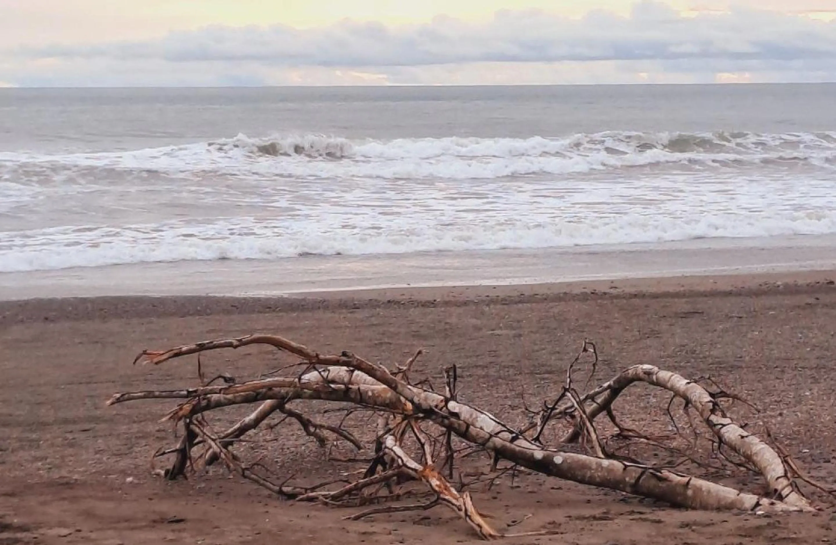 Beach in Tropical Garden Hotel