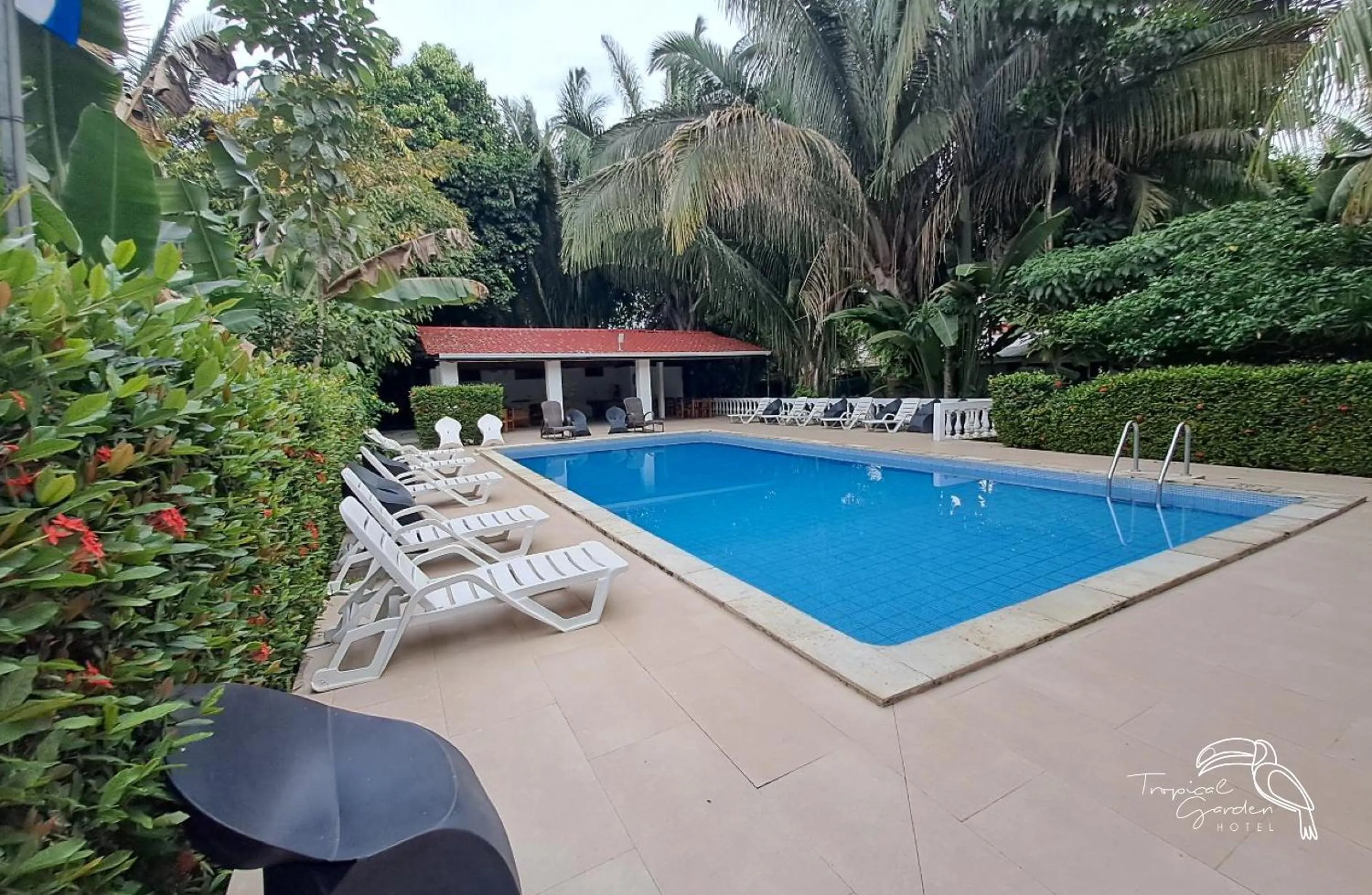 Swimming pool in Tropical Garden Hotel