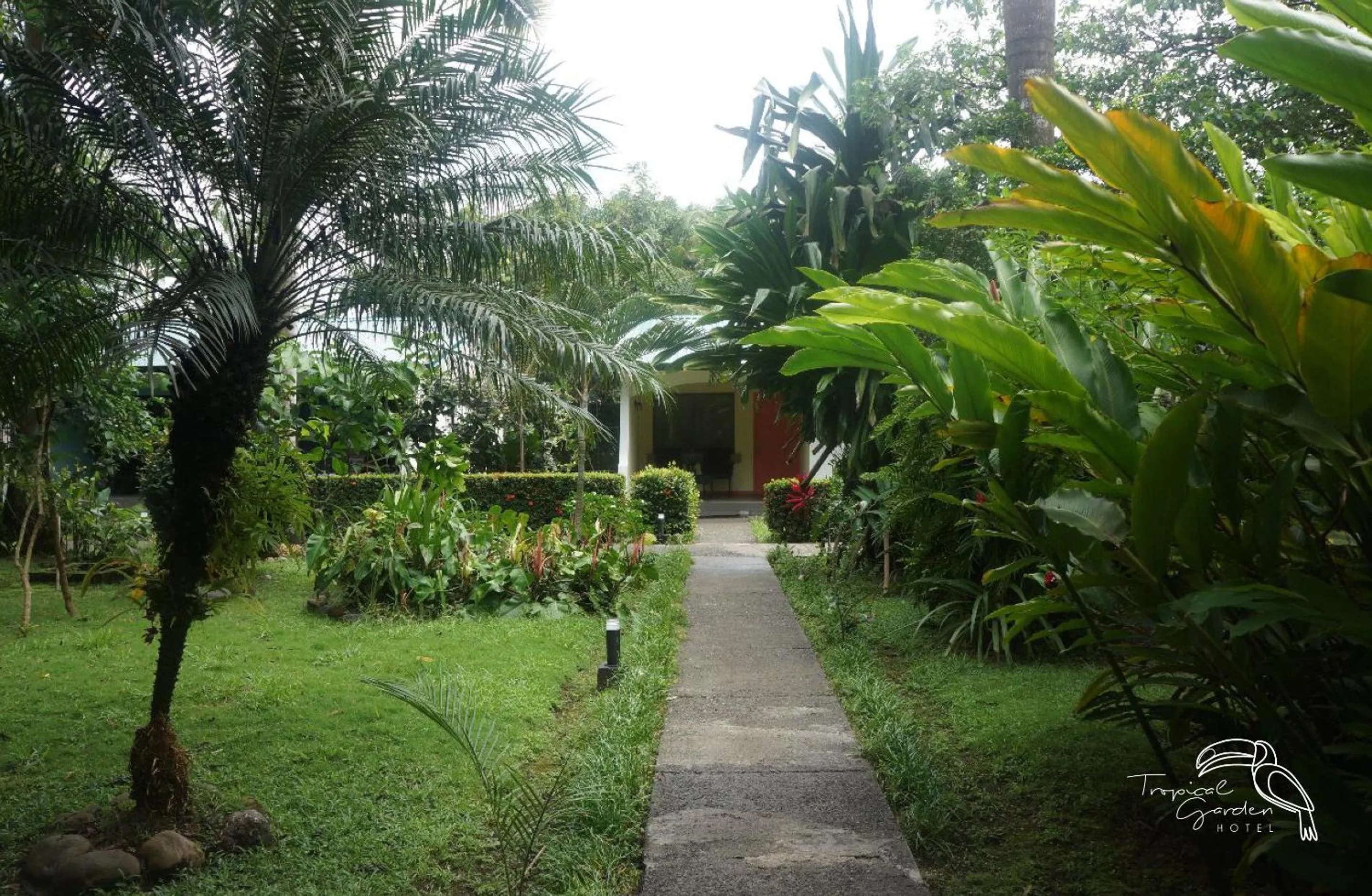 Garden view in Tropical Garden Hotel