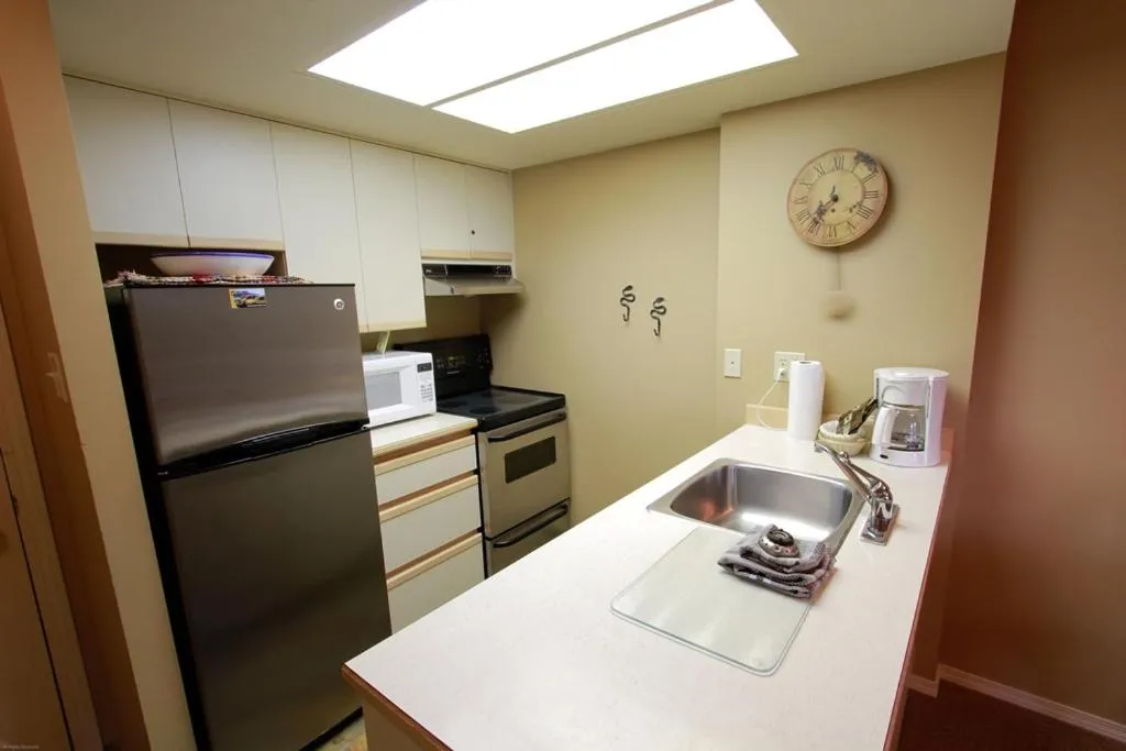 Kitchen or kitchenette in The Marquise by Whistler Premier