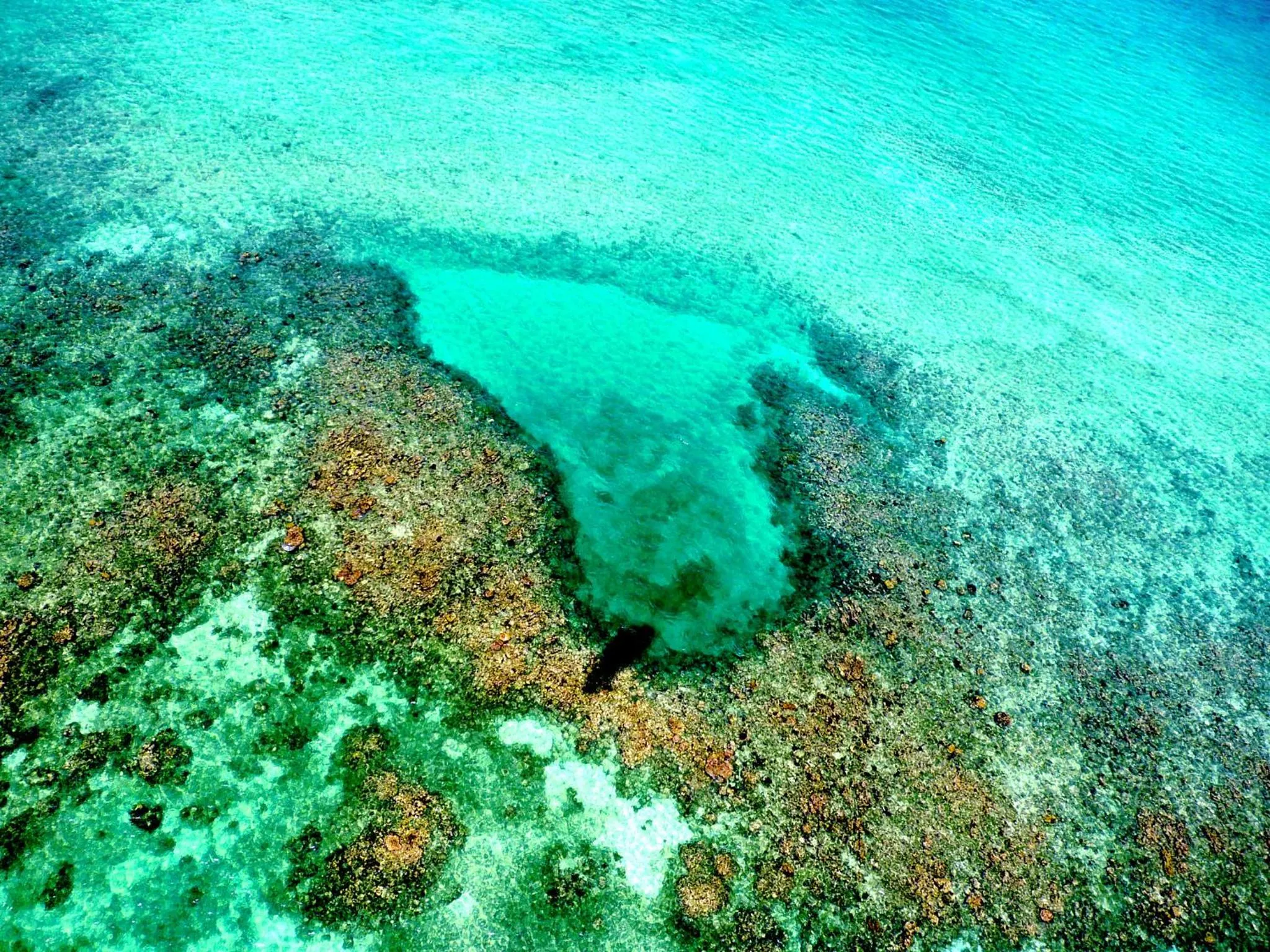 Bird's eye view in Almaplena Boutique Hotel