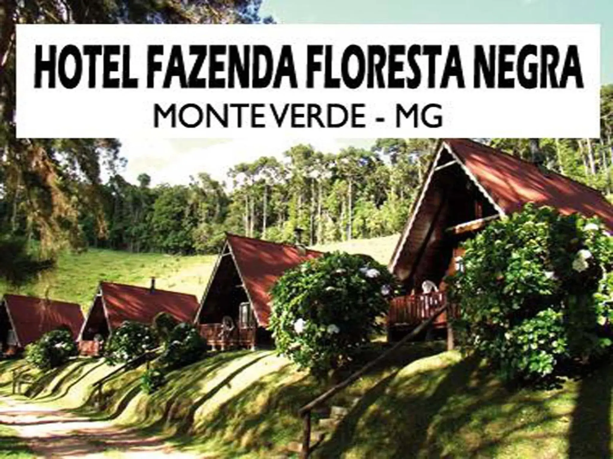 Hotel Fazenda Floresta Negra Hotel Fazenda Floresta Negra
