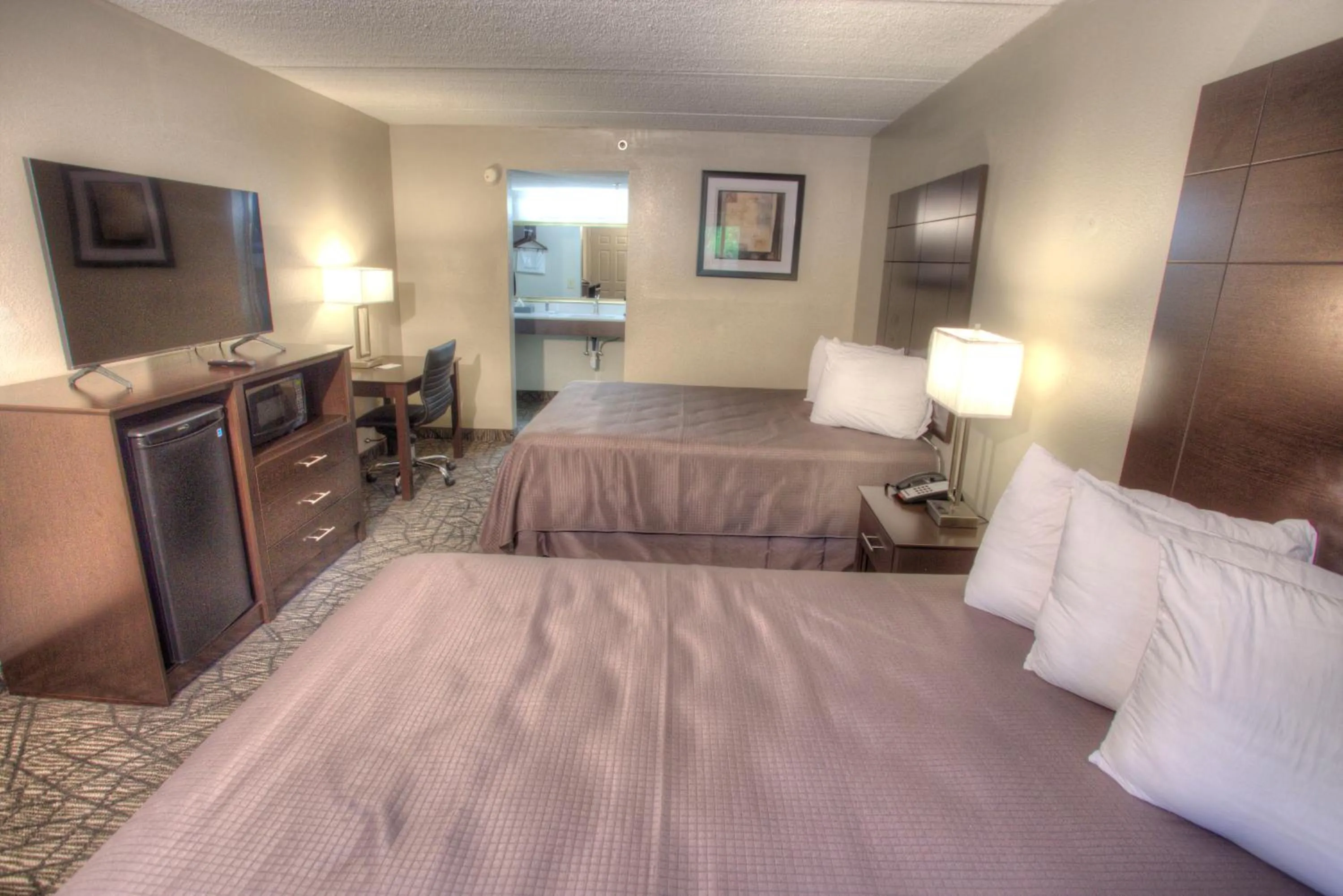 Photo of the whole room, Bed in Budgetel Inn and Suites Plus Helen