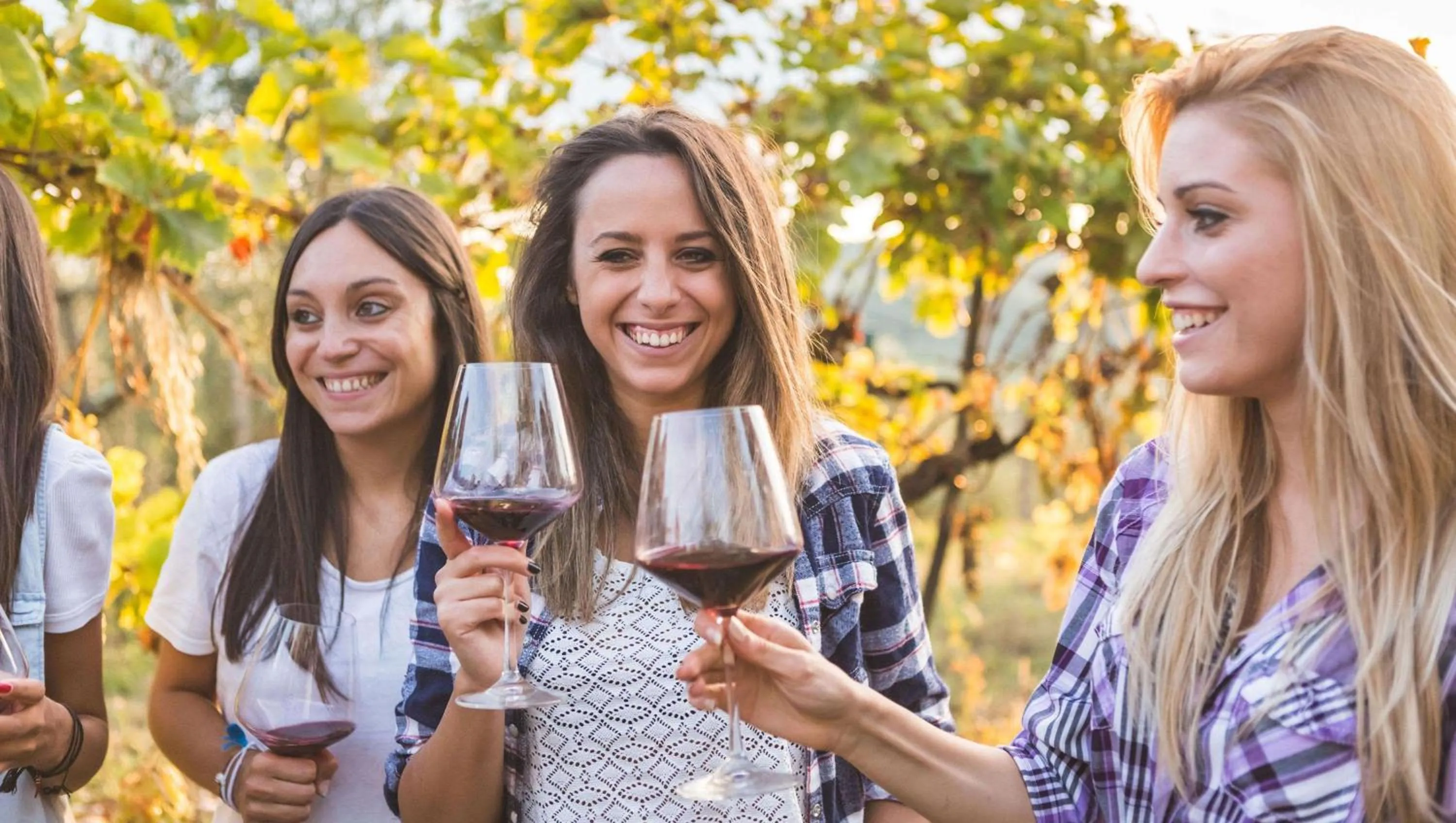 Nearby landmark in Stratford Motor Inn East Ellijay