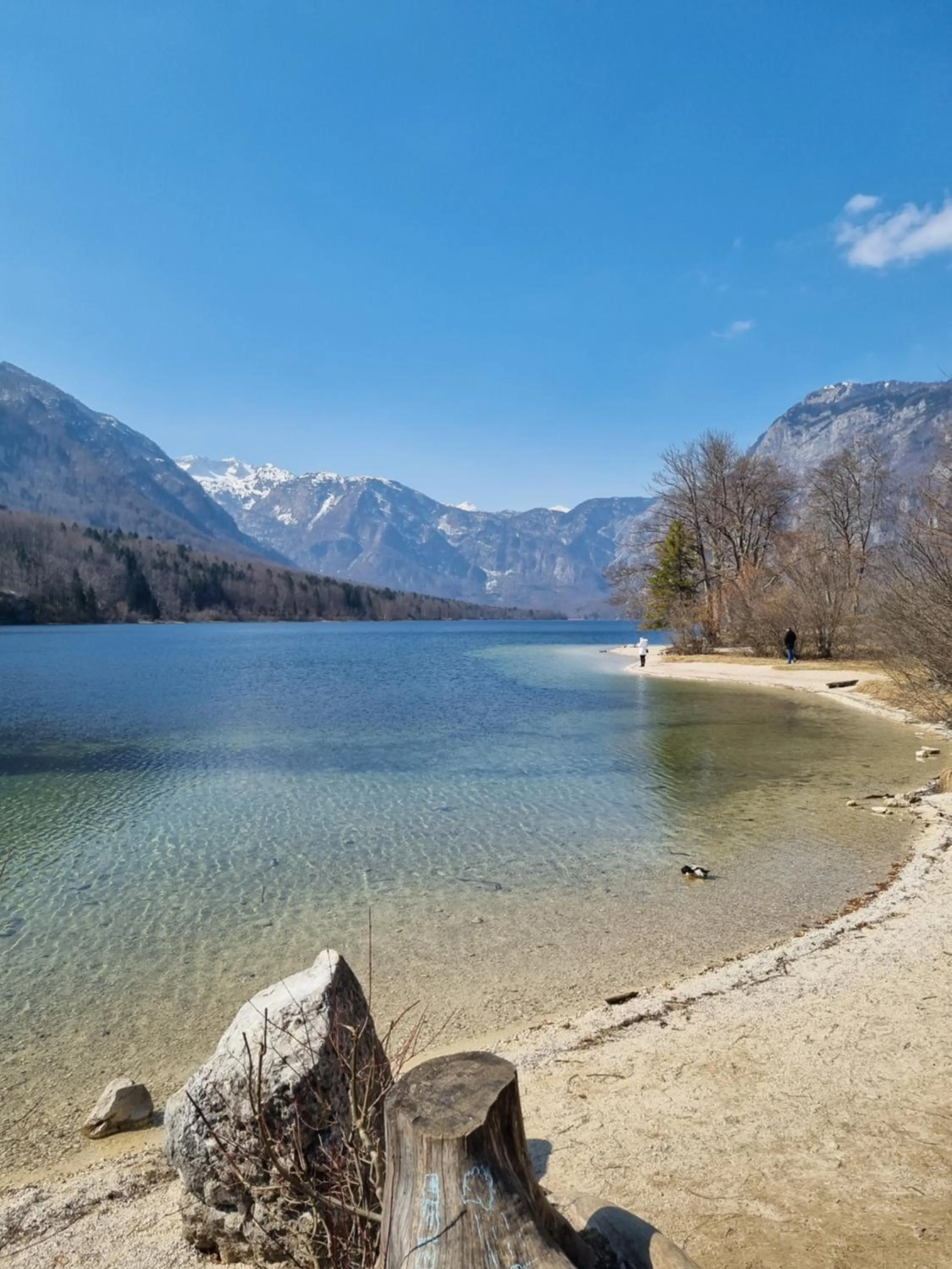 Natural landscape in Art Hotel Kristal