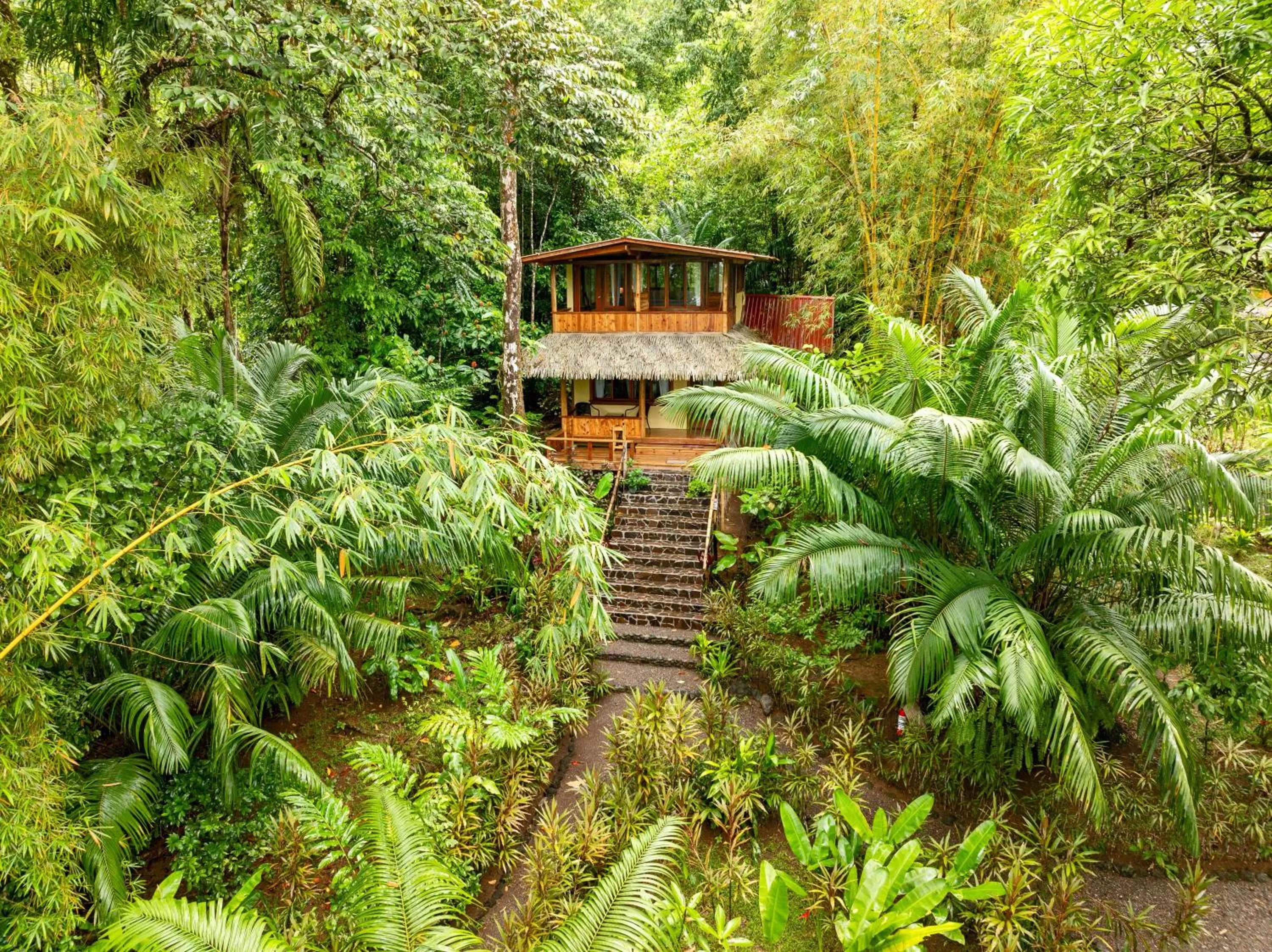 Property building in Copa De Arbol Beach & Rainforest Resort