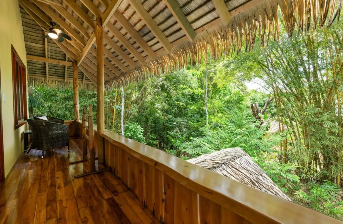 Natural landscape in Copa De Arbol Beach & Rainforest Resort