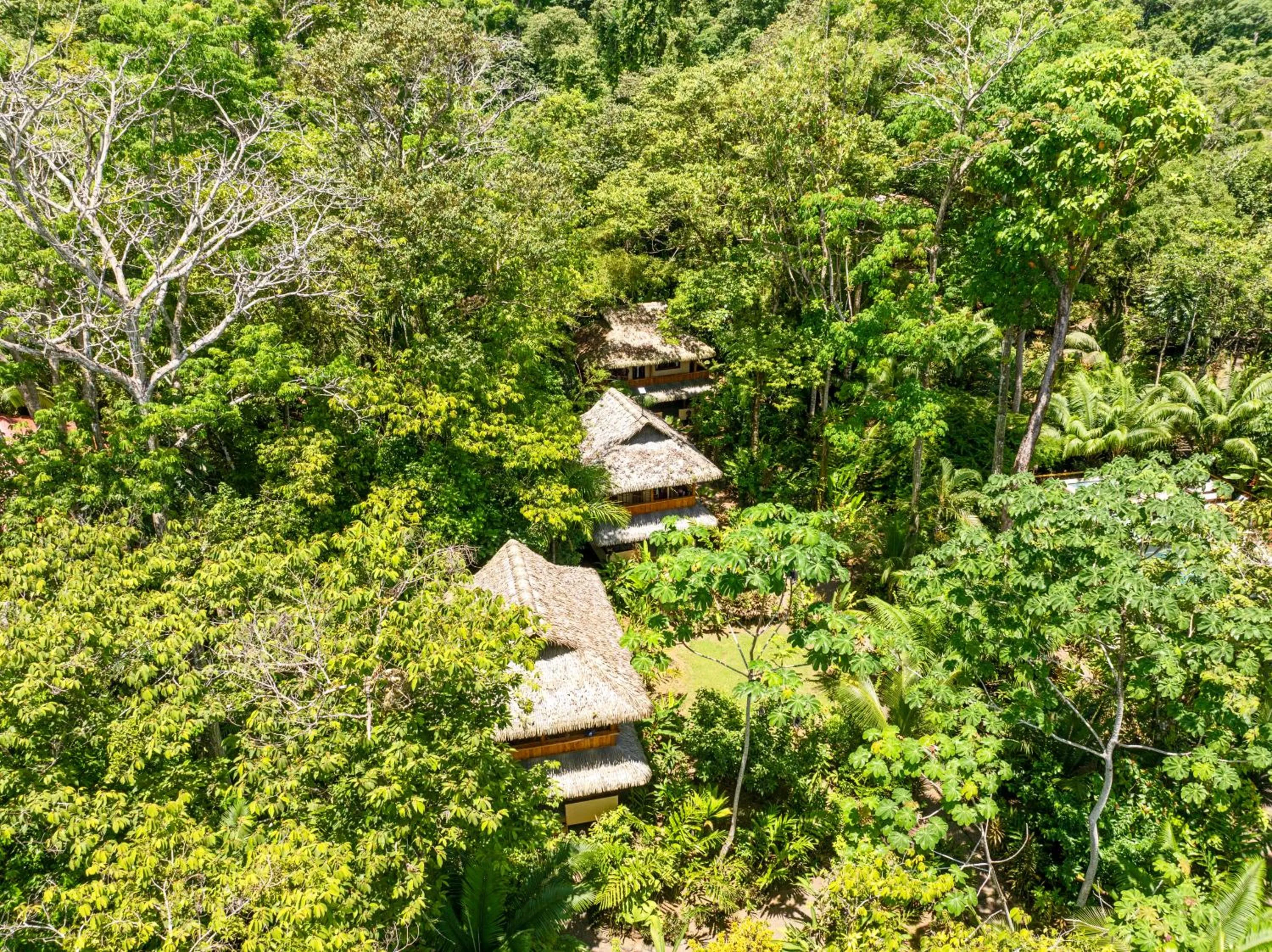 Property building in Copa De Arbol Beach & Rainforest Resort