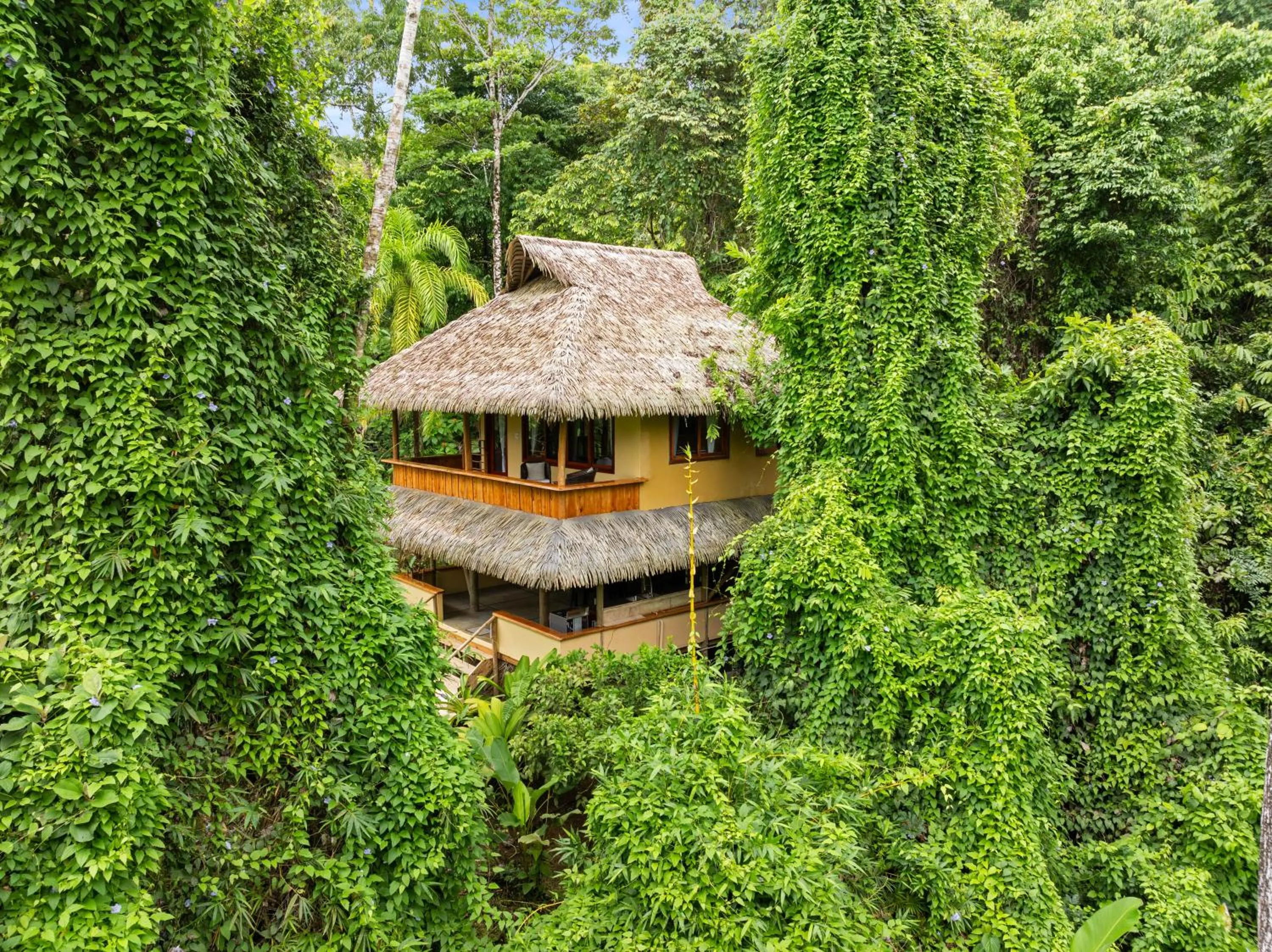 Property building in Copa De Arbol Beach & Rainforest Resort