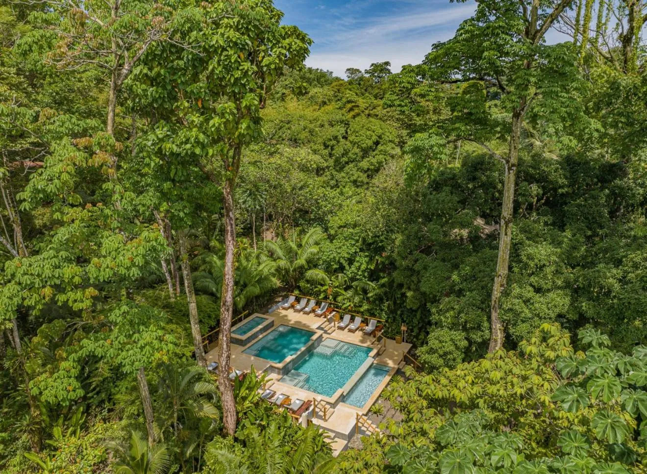 Natural landscape in Copa De Arbol Beach & Rainforest Resort