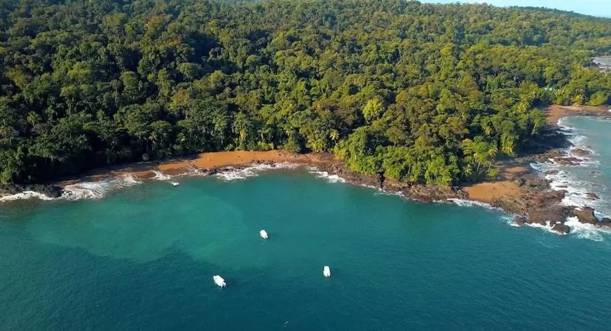 Bird's eye view in Copa De Arbol Beach & Rainforest Resort