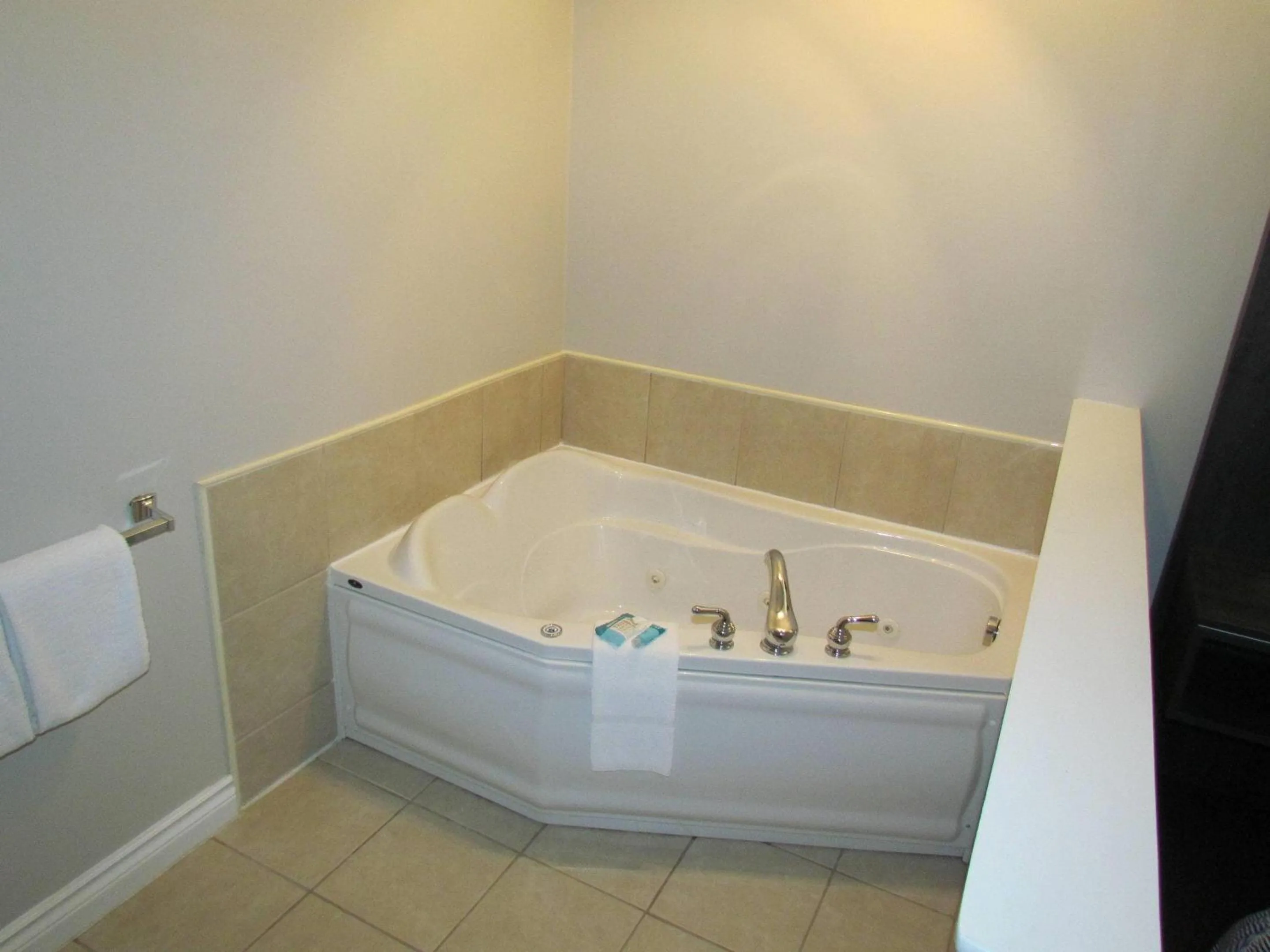 Bedroom in Rodeway Inn King William