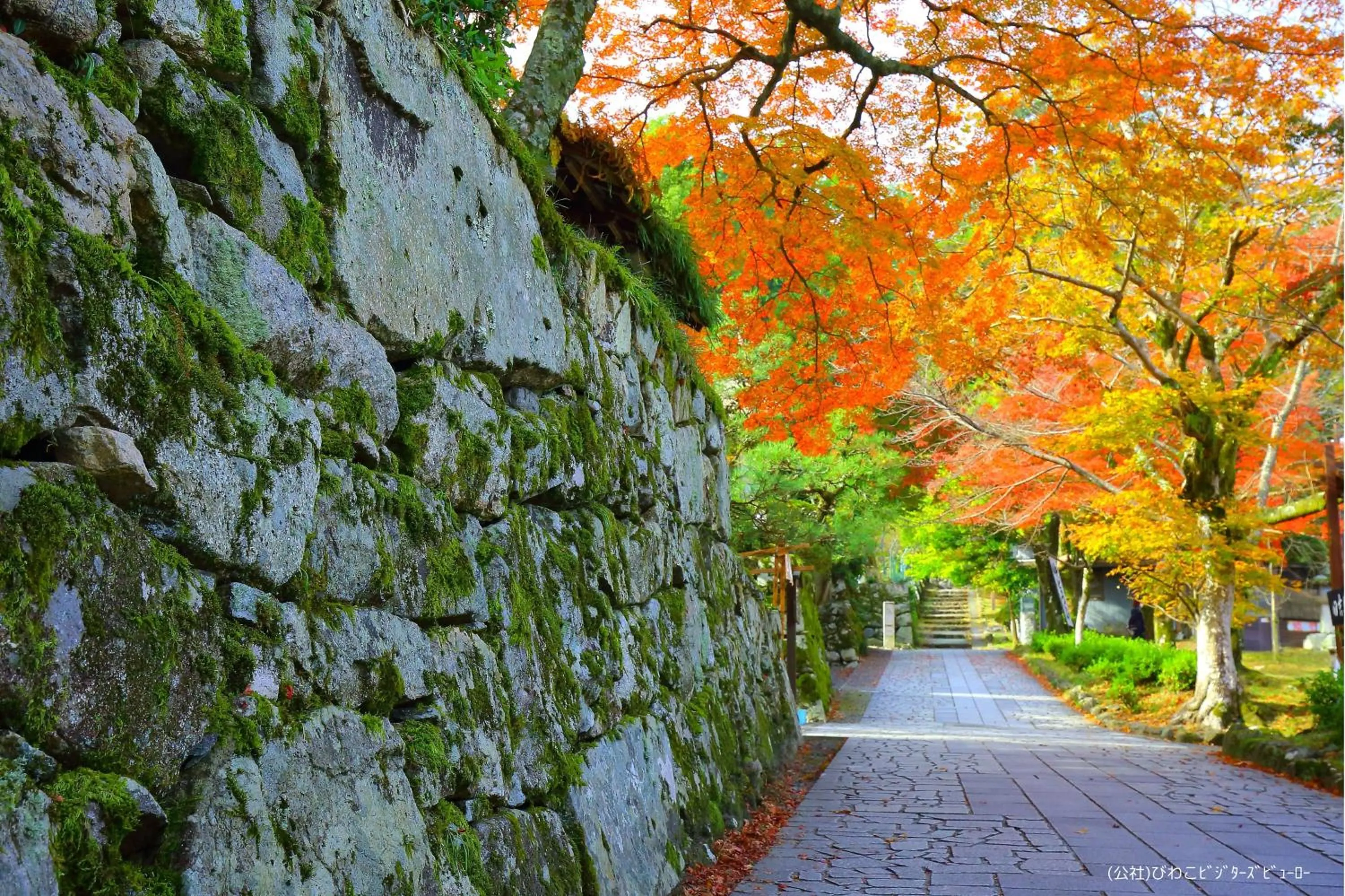 Nearby landmark in Yuzanso