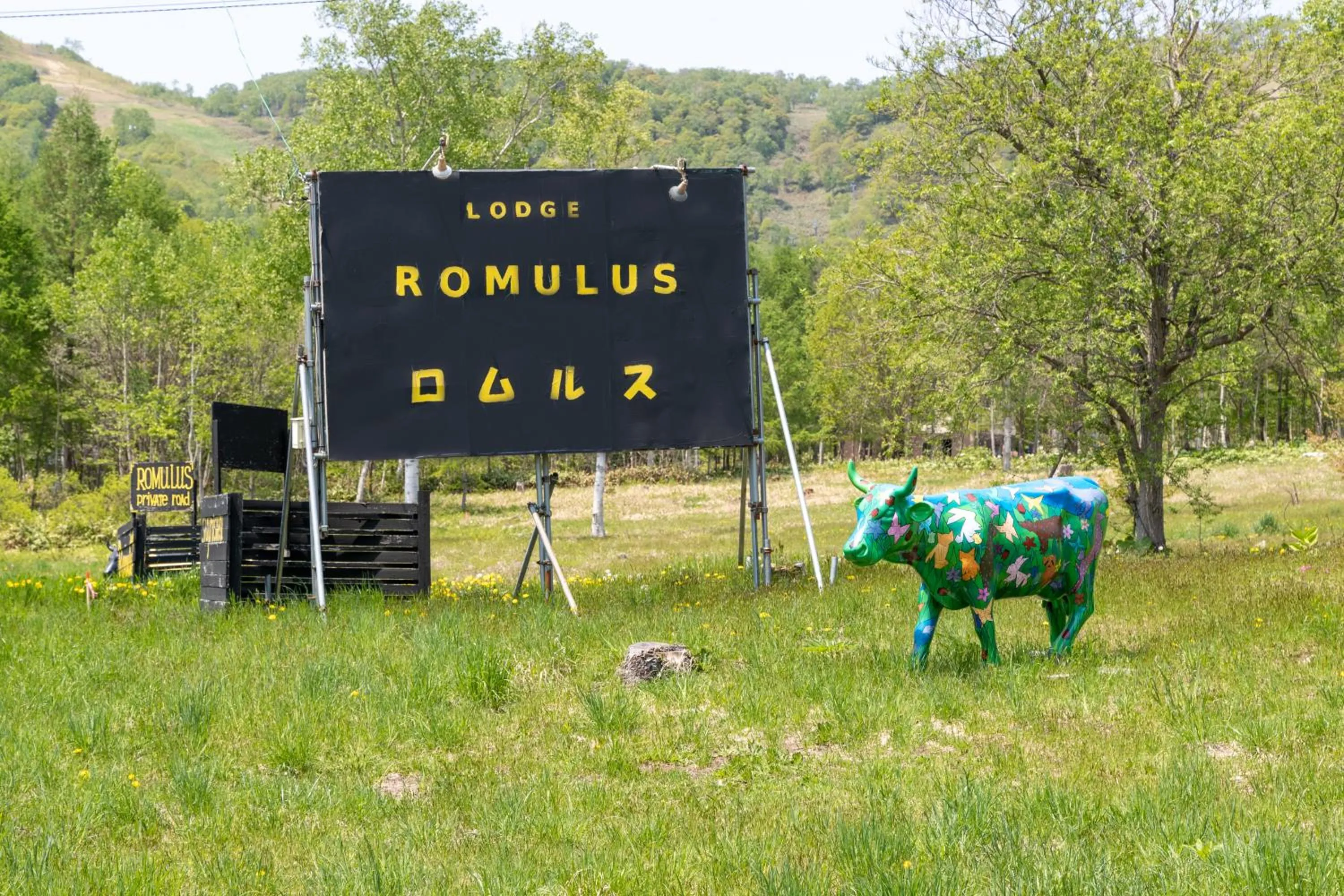 Logo/Certificate/Sign in Lodge Romulus